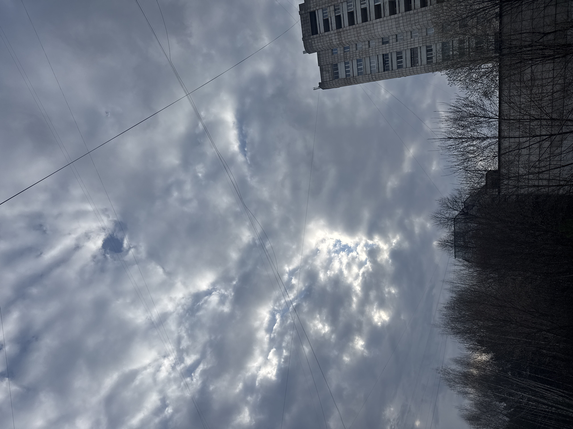 The image captures an upward perspective of an urban or suburban scene in Chaikovsky, Russia, dominated by a dynamic cloudy sky. The sky is largely covered by thick, grey clouds, but patches of bright sunlight and clear blue sky break through, creating luminous areas. Multiple thin, dark power lines stretch across the frame, crisscrossing the expansive sky.
On the left side of the scene, a tall, multi-story concrete building stands prominent. Its architecture features a grid of numerous rectangular windows, some appearing dark or vacant. The building's textured facade suggests an older, possibly utilitarian or residential structure. To the right, a dense mass of bare-branched deciduous trees, indicative of late autumn, winter, or early spring, occupies a significant portion of the frame. These trees partially obscure another building structure behind them.
The lighting suggests a daytime setting with changeable weather, where bright sunlight intermittently penetrates the cloud cover. There are no people visible, nor any discernable text. The overall atmosphere conveys a stark yet compelling urban landscape under a vast, expressive sky.