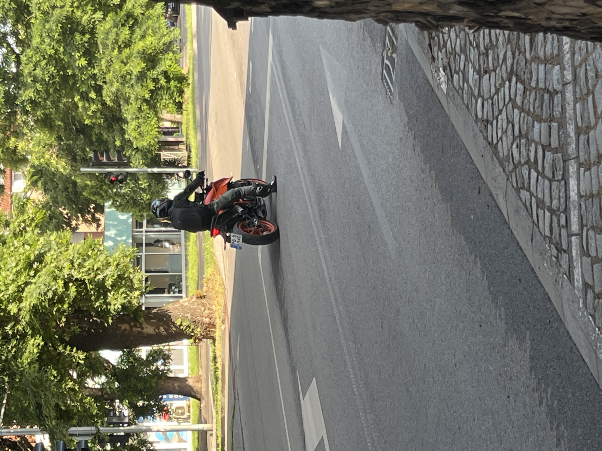 A person on an orange motorcycle is stopped at an intersection in Plovdiv, Bulgaria, facing away from the viewer and slightly to the left. The individual wears a black full-face helmet with a dark visor, a black backpack, a black long-sleeved jacket, dark grey or olive-green pants, and black motorcycle boots with red accents. The motorcycle has an orange rear wheel and a Bulgarian license plate visible as "PB 8 5946", with "PB" indicating the Plovdiv district.
The motorcycle is positioned on an asphalt road with visible white lane markings, including a straight-ahead arrow in the immediate foreground and a right-turn arrow further down. The road surface shows some wear and faint tire marks. To the right of the road, a cobblestone sidewalk with a grey curb is present, featuring the base of a large tree trunk.
In the midground and background, the street is lined with numerous large trees featuring dense green foliage, casting shadows across parts of the scene. Beyond the trees, various buildings are visible, including one with a light blue facade and large windows, and another with a reddish roof. A traffic light pole with an illuminated red signal is visible to the left of the motorcycle, indicating a stop. The scene is brightly lit by sunlight.