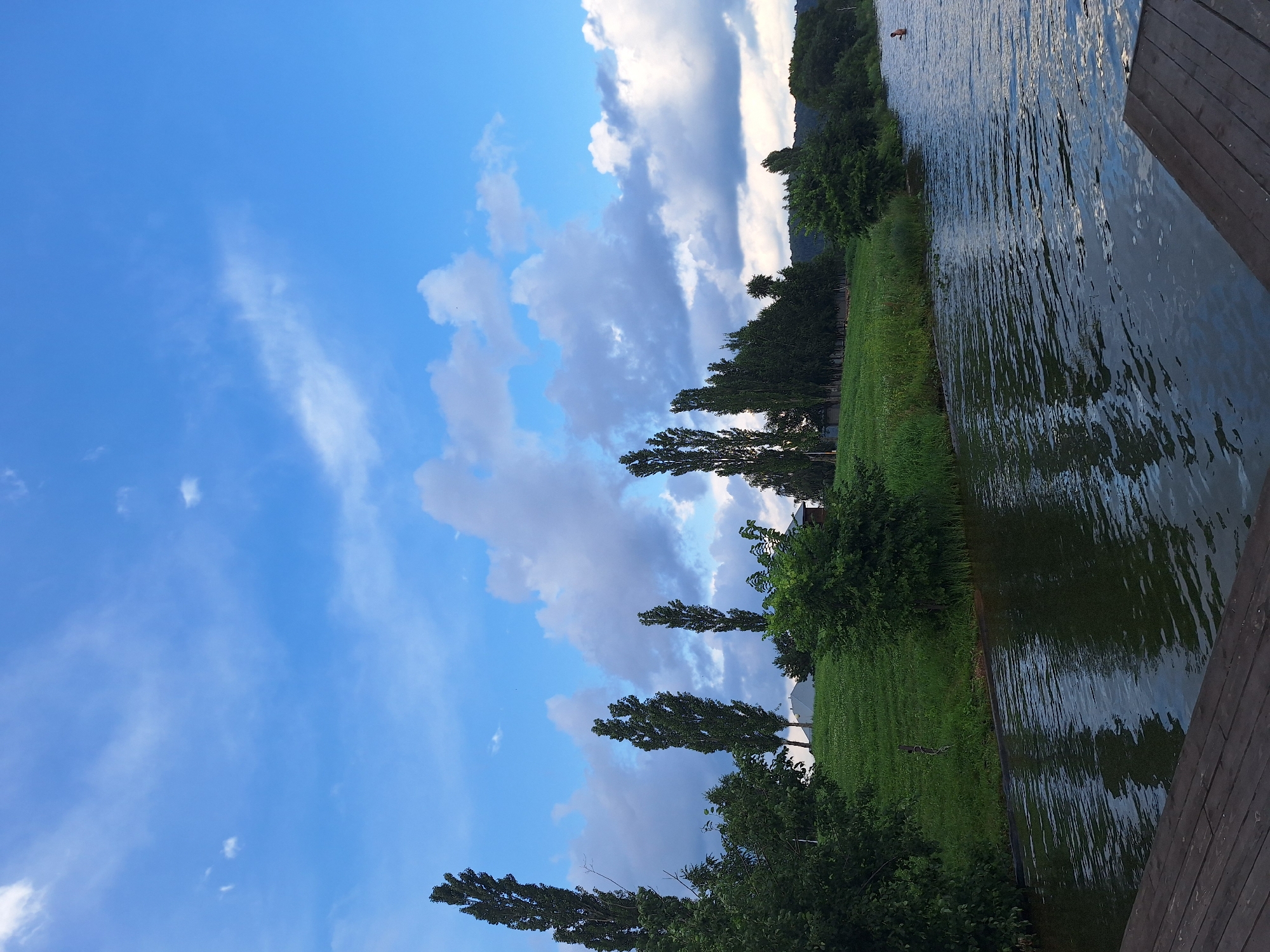 The image depicts a serene natural scene likely in the vicinity of Атамановка, Russia, featuring a body of water in the foreground, bordered by a grassy embankment lined with trees. A wooden deck occupies the lower left portion of the frame, suggesting a public access point to the water. The sky above is a vibrant blue, punctuated by scattered white clouds. Tall, slender trees are a prominent feature along the embankment, adding verticality to the landscape. In the distance, a figure is visible in the water, indicating recreational activity. The overall impression is one of a tranquil, possibly summer, day in a rural or semi-rural setting.