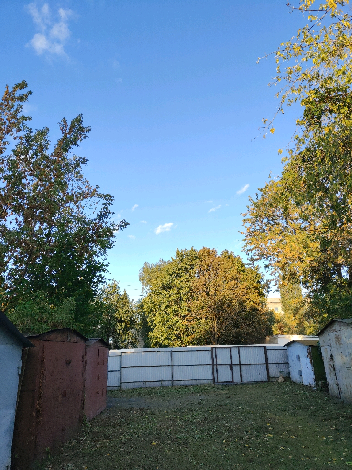 The image captures an outdoor scene with a clear blue sky and a few scattered white clouds. The foreground features several garages, one a rusty reddish-brown color on the left, and another a lighter blue-grey to its right. A white corrugated metal fence with a double gate runs horizontally across the middle ground, separating the garages from a background of trees. Some of these trees display autumn foliage in shades of green and yellow. In the distance, a building with windows is partially visible through the trees. The ground is covered in green grass with scattered fallen leaves, suggesting it is autumn. The overall setting appears to be a residential or industrial area. The location of Homyel, Belarus is not visually represented in the image.