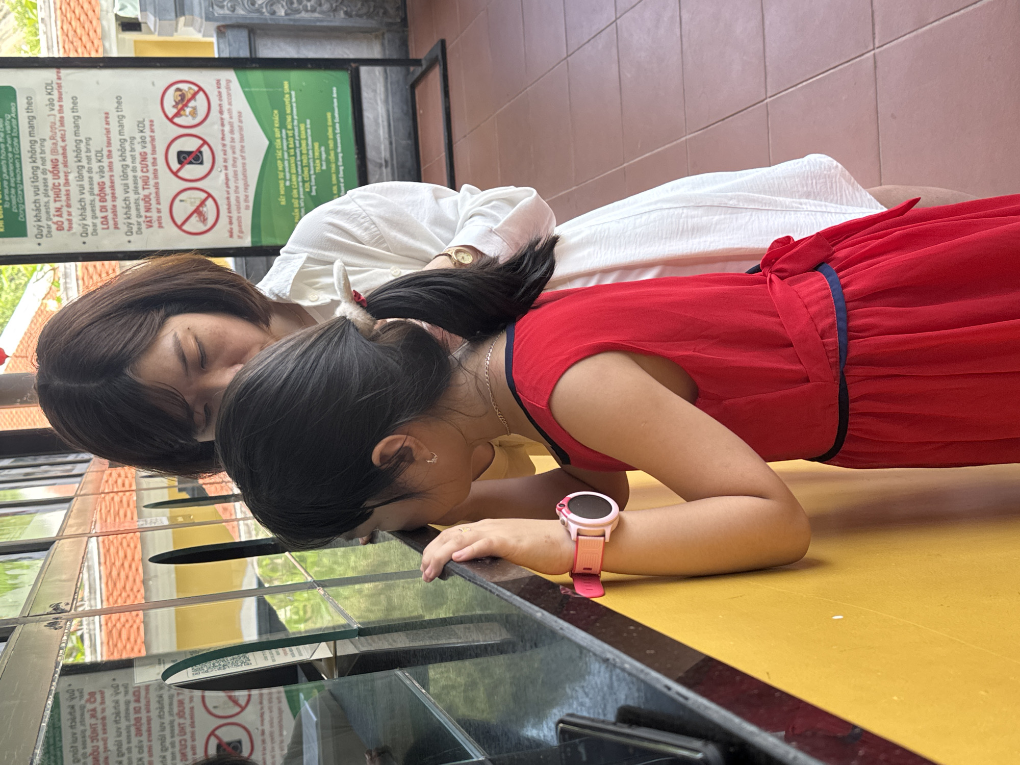 An adult woman and a young girl are depicted leaning forward, intently observing something within a glass display or barrier. The scene appears to be set in a tourist attraction during the daytime.
The woman, with dark brown hair, wears a white long-sleeved shirt and a gold watch on her left wrist. She is positioned behind the girl, also peering into the exhibit. The young girl has dark hair styled in a ponytail, secured with a white and red scrunchie. She wears a vibrant red dress with a blue trim, a delicate gold chain necklace, and a pink smartwatch on her left wrist. Her forearms rest on a yellow surface as she gazes into the display.
In the background, a large green informational sign is visible, containing text primarily in Vietnamese, alongside universal prohibition symbols. The text indicates that the location is the "Dong Giang Heaven Gate Tourist Area" (KDL - Khu Du Lịch). The rules state that guests are not permitted to bring "ĐỒ ĂN, THỨC UỐNG" (food, drinks, including beer and alcohol), "LOA DI ĐỘNG" (portable speakers), or "VẬT NUÔI, THÚ CƯNG" (pets or animals) into the area. It warns that violations will be dealt with according to regulations and requests visitor cooperation. Both individuals appear curious and engaged by what they are viewing in the exhibit, reflecting a typical experience at a tourist site in Đà Nẵng, Vietnam.
