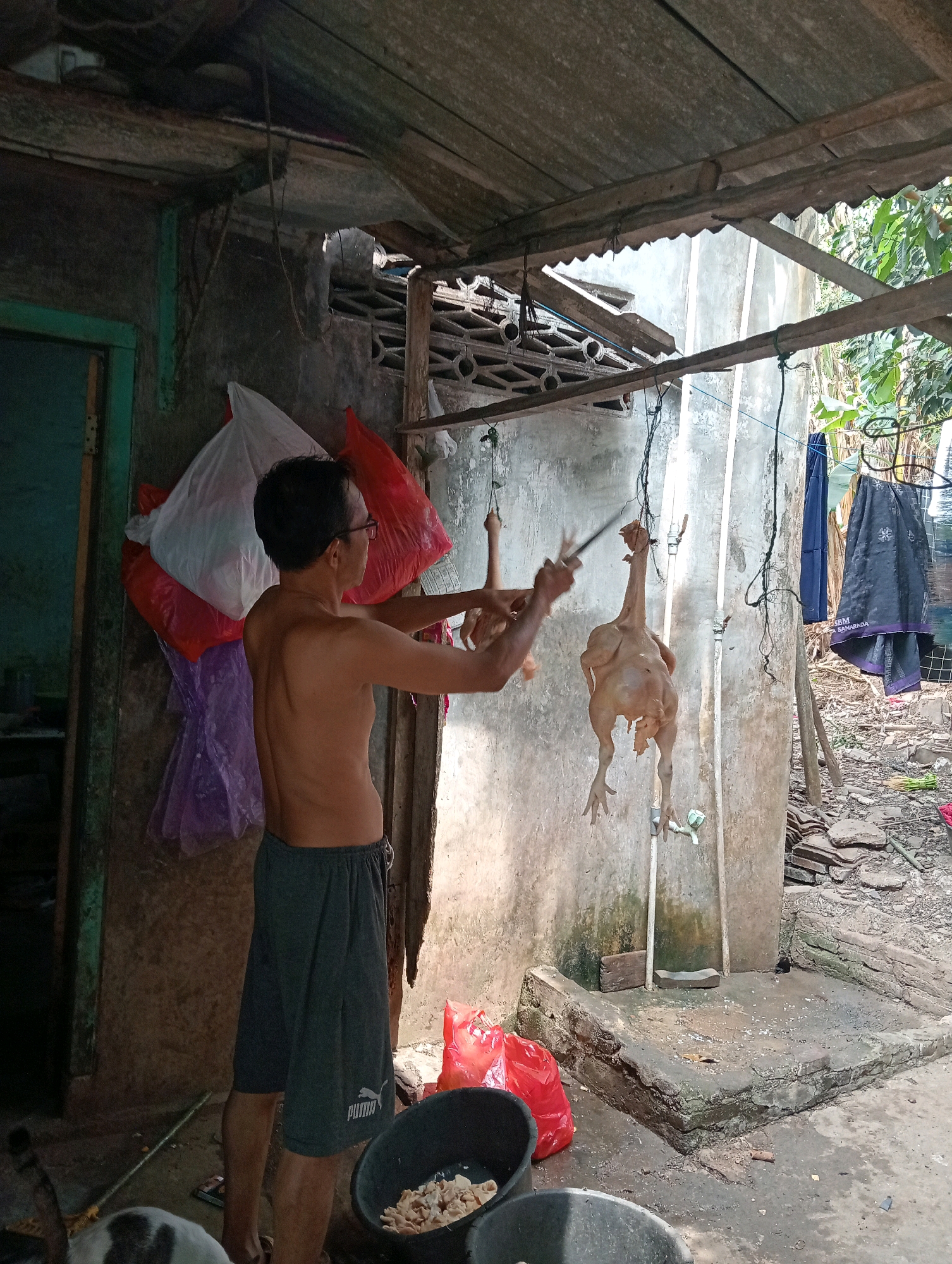 A man, shirtless and wearing gray athletic shorts, stands in a dimly lit outdoor area, possibly a yard or alley, in Bandar Lampung, Indonesia. He is in the process of preparing two chickens for consumption. One chicken hangs from a string, its body naked and pale, while the man uses a knife to work on another chicken hanging nearby. The chickens appear to have been plucked.
The environment is rustic and appears somewhat neglected. Behind the man, plastic bags in red, white, and purple are visible, possibly used for carrying or storing food. In the foreground, two large black buckets sit on the ground, one containing what appears to be chicken parts. The ground is dirt and concrete, with debris and scattered tiles. A concrete structure, possibly a washing area with a tap, is visible to the right. A clothesline with laundry hangs in the background, suggesting this is a residential area. The overall impression is one of a humble, working-class dwelling in a tropical climate.