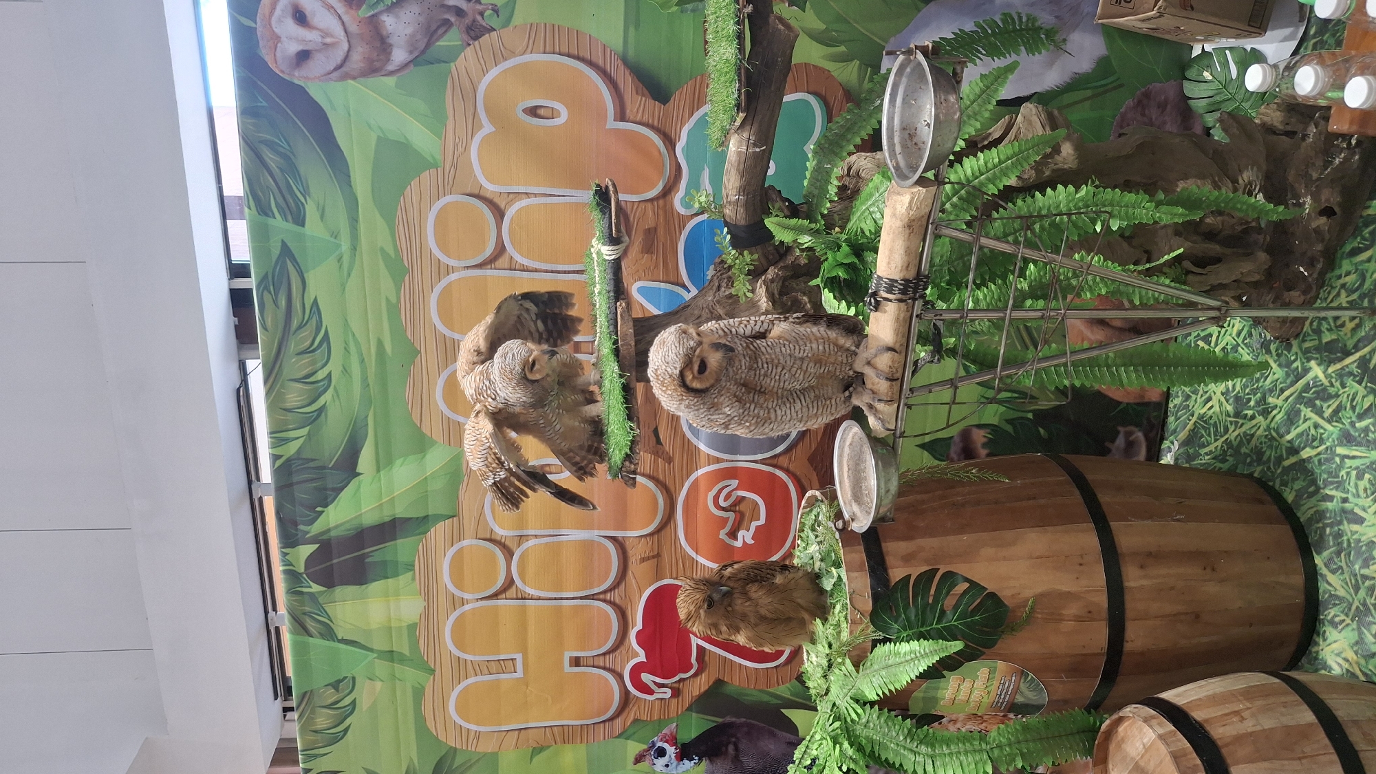 This is a medium shot, eye-level, full-color photograph of an indoor exhibit featuring owls and a guinea fowl. The background is a large, vibrant banner depicting jungle foliage and large, cartoon-like letters spelling "Hip Hip Zoo". To the right of the banner, a barn owl is partially visible. In the foreground, there are three owls arranged on wooden perches and a rustic wooden barrel. One owl, with its wings spread, is perched on a branch in the upper-middle section of the image. Another owl is sitting on a lower branch to the right, facing forward. A third, smaller owl is perched on the edge of a small bowl filled with leaves, on top of the wooden barrel. A guinea fowl with a distinct black and white head is visible on the left side of the image, behind the barrel. The ground is covered with a green, grass-like mat. In the lower right corner, several plastic water bottles are visible on a surface. The overall scene suggests a zoo or animal attraction setting, likely in an urban environment, although a specific location in Kecamatan Pati, Indonesia cannot be determined from the visual information alone.