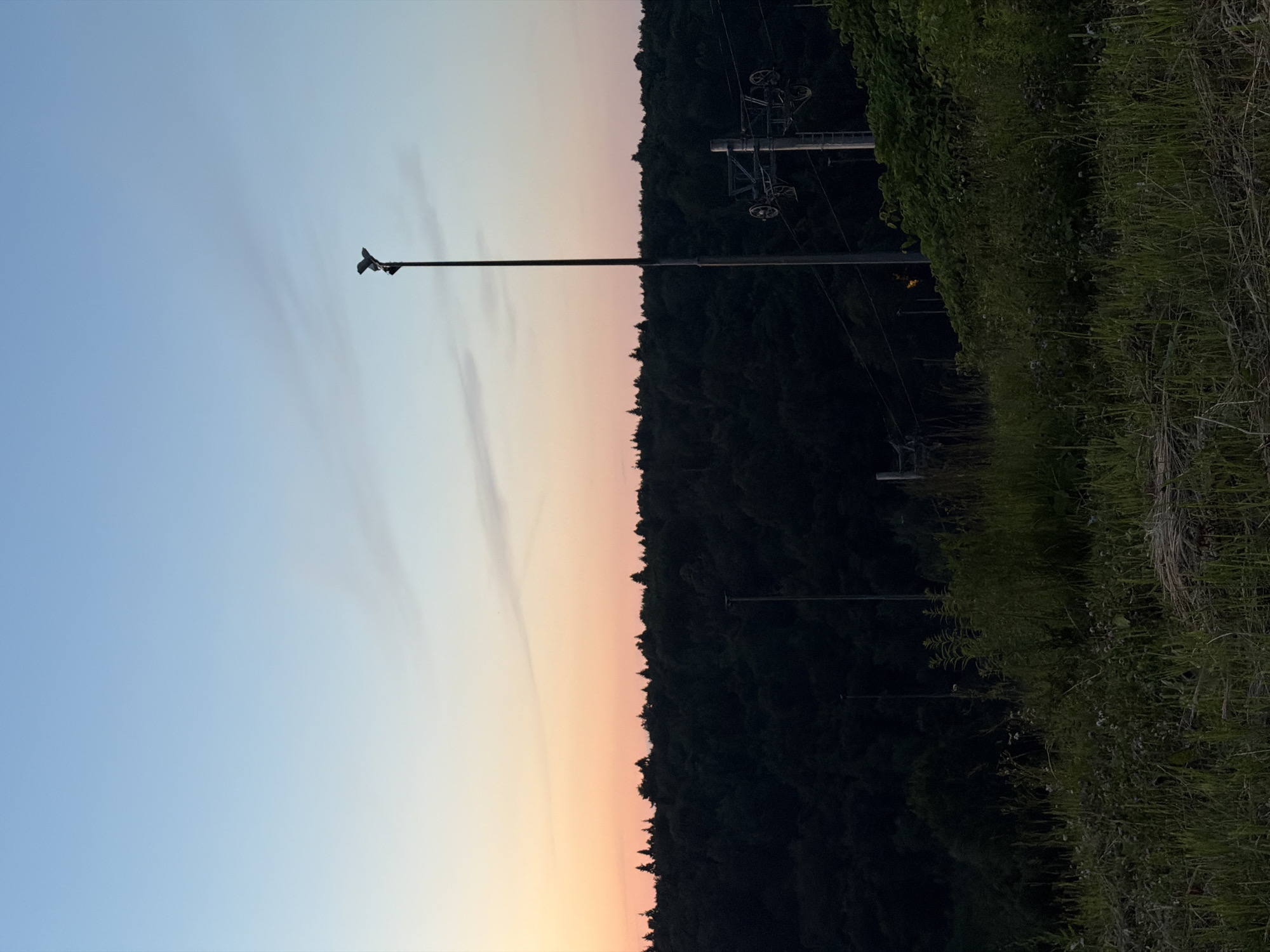The image shows a landscape scene at dusk. The sky transitions from a pale blue at the top to a soft peachy orange near the horizon, suggesting the sun is setting. A dark, dense forest lines the horizon. In the foreground, a tall, thin pole with a bird-like object perched on top stands vertically. To the right of the pole, another vertical structure, possibly a utility pole with wires, is visible, along with a dense growth of green vegetation, including tall grass and bushes. The scene is calm and peaceful, likely captured in an outdoor, rural or semi-rural setting. The light suggests it is either early morning or late evening. There is no visible text in the image.