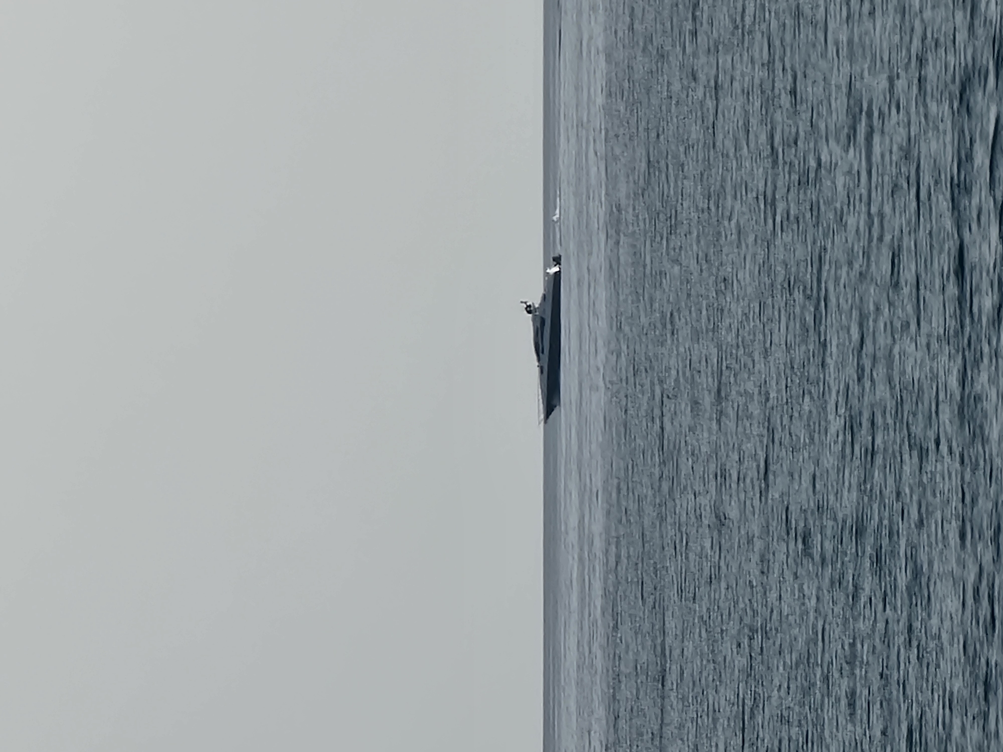 A motor yacht is cruising on a calm, grey sea. The sky is overcast and light grey, with no visible clouds. The horizon line is sharp, dividing the sea and sky into two equal halves. The yacht is dark in color and appears to be moving at a moderate speed, leaving a faint wake behind it. The sea is a deep grey-blue, with gentle ripples on the surface. The scene is minimalistic and serene, with the vast expanse of the sea and sky dominating the composition. The yacht, though small in the frame, is the central focus of the image, its sleek design suggesting luxury and speed. The overall impression is one of quiet movement and solitude on the open water.