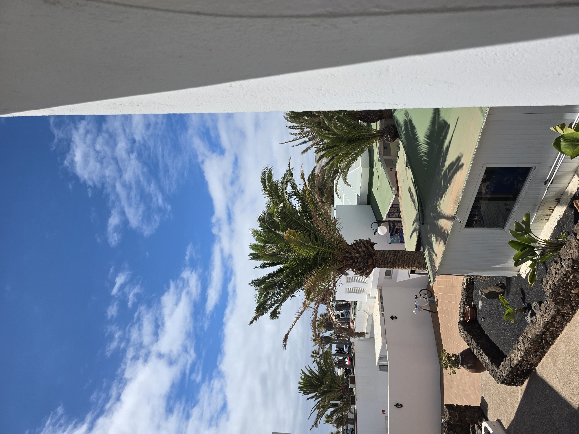 The image depicts an outdoor scene in Costa Teguise, Spain. The primary subjects are several palm trees, some in full foliage and others with dry fronds, set against a bright blue sky with scattered white clouds. The architectural elements include white buildings with light green roofs and what appears to be a tiled patio area. A bicycle is visible leaning against a white wall, suggesting a leisurely or residential setting. The scene is illuminated by sunlight, casting shadows from the palm trees onto the buildings and ground, indicating it is daytime. The overall impression is a sunny day in a warm climate, likely a tourist resort or residential area. There is no discernible activity or event taking place. No text is clearly visible in the image.