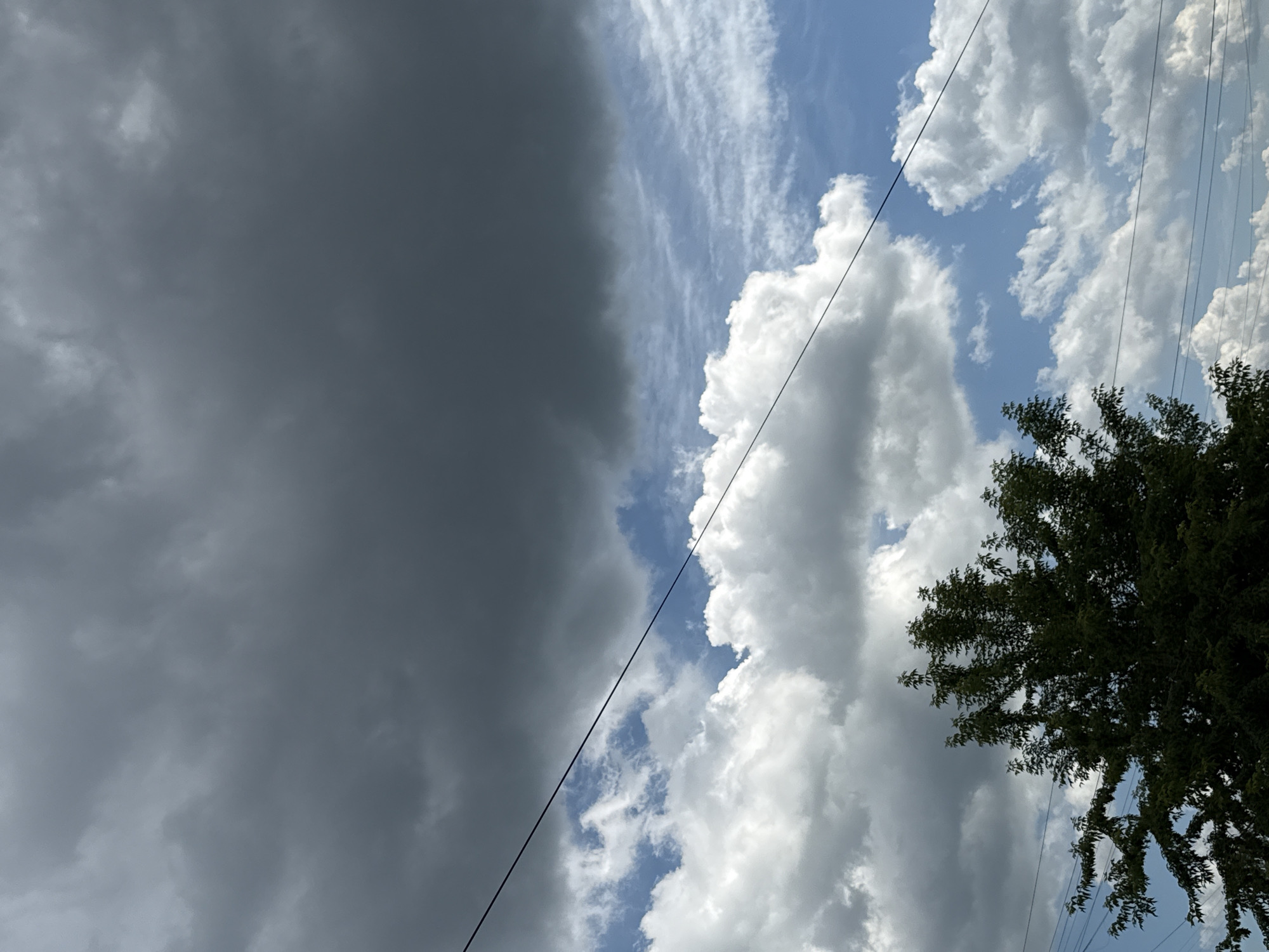 The image depicts a sky filled with a mix of dark, ominous storm clouds and lighter, fluffier cumulus clouds. A single black power line stretches diagonally across the frame, from the upper left to the lower right. In the bottom portion of the image, the dark green canopy of a leafy tree is visible, with its branches reaching upwards. The scene appears to be outdoors, likely in a suburban or rural area, given the presence of the power line and tree. There are no people visible in the image. The lighting suggests it is daytime, possibly approaching a storm. The location is Izhevsk, Russia.