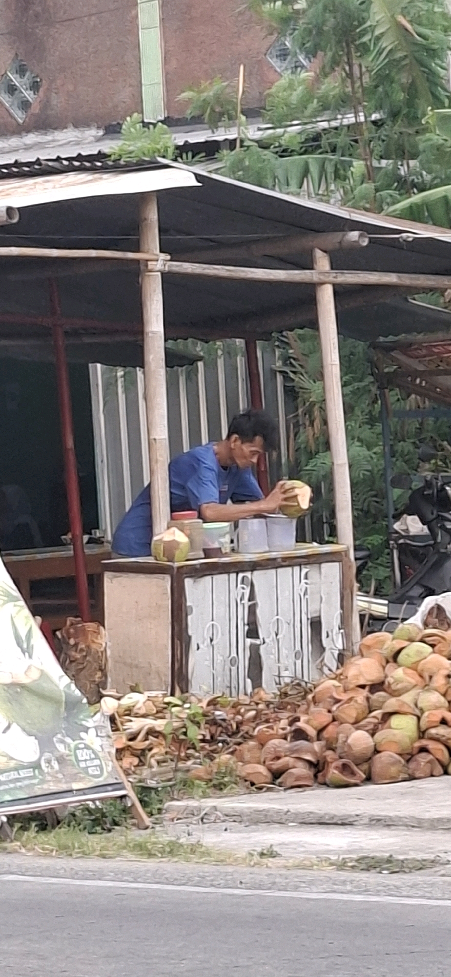 A man in a blue shirt is preparing coconuts at a roadside stall in Desa Dibal, Indonesia. He is holding a partially opened coconut in his hands, seemingly ready to serve. In front of him, on a wooden counter, are two more coconuts and several containers, including one red-lidded container and two clear plastic containers. The stall itself is constructed with bamboo poles and covered with a dark tarp. Behind the counter, there is a corrugated metal wall. To the right of the stall, a large pile of discarded coconut husks and shells is visible, some of which are still green. In the background, lush green foliage and trees can be seen. A portion of a motorcycle is also visible on the right side of the frame. The scene is set along a paved road, with a sidewalk or embankment separating the road from the stall. The overall impression is a typical street-side vendor scene in a tropical environment.