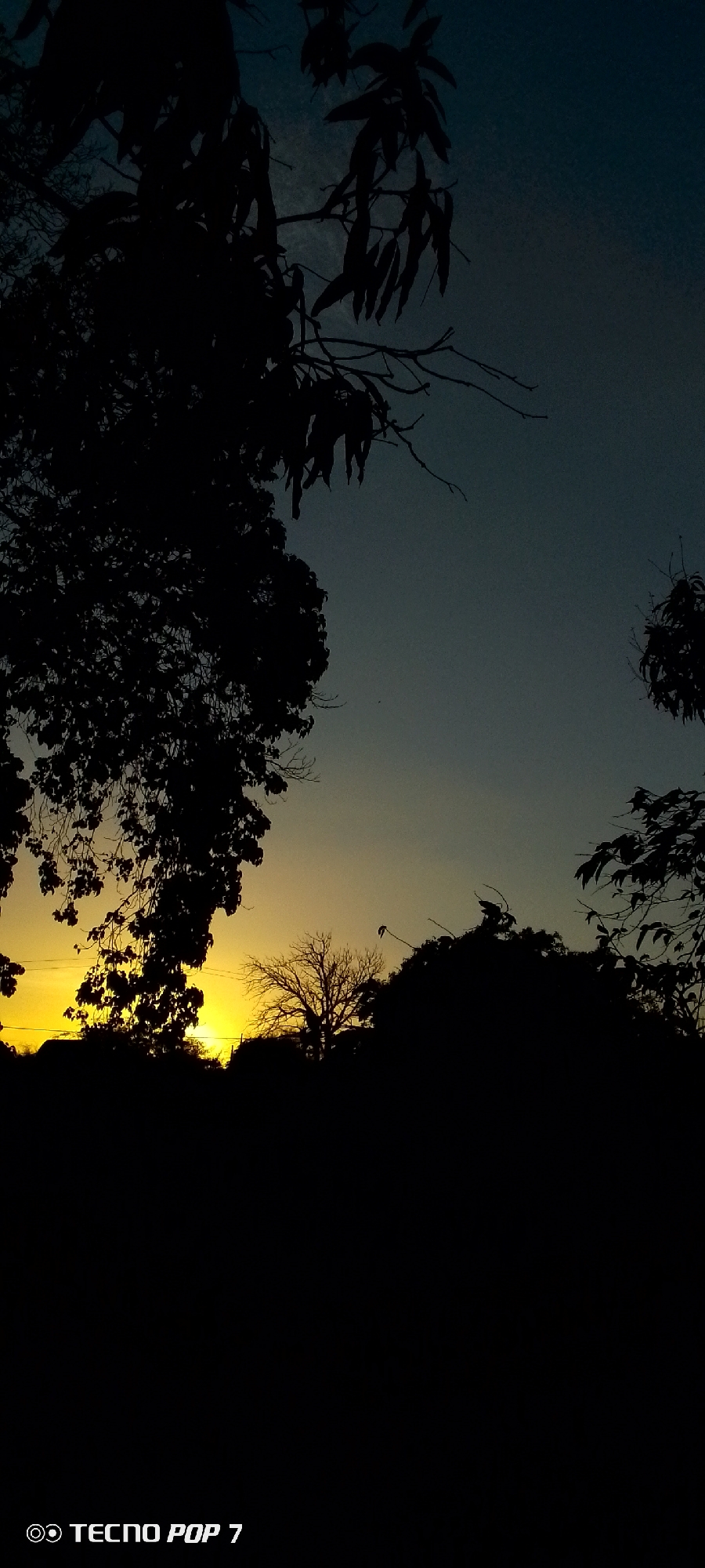 The image depicts a sunset scene in what appears to be a rural or suburban area. The sky transitions from a dark blue at the top to a yellow-orange near the horizon. Silhouetted trees and foliage occupy the foreground, obscuring the land. The location might be Altagracia, Venezuela, although no specific landmarks confirm this. The image lacks evidence of human presence or specific actions. The bottom of the image has a phone stamp, indicating the photo was taken with a "Tecno Pop 7" mobile phone.