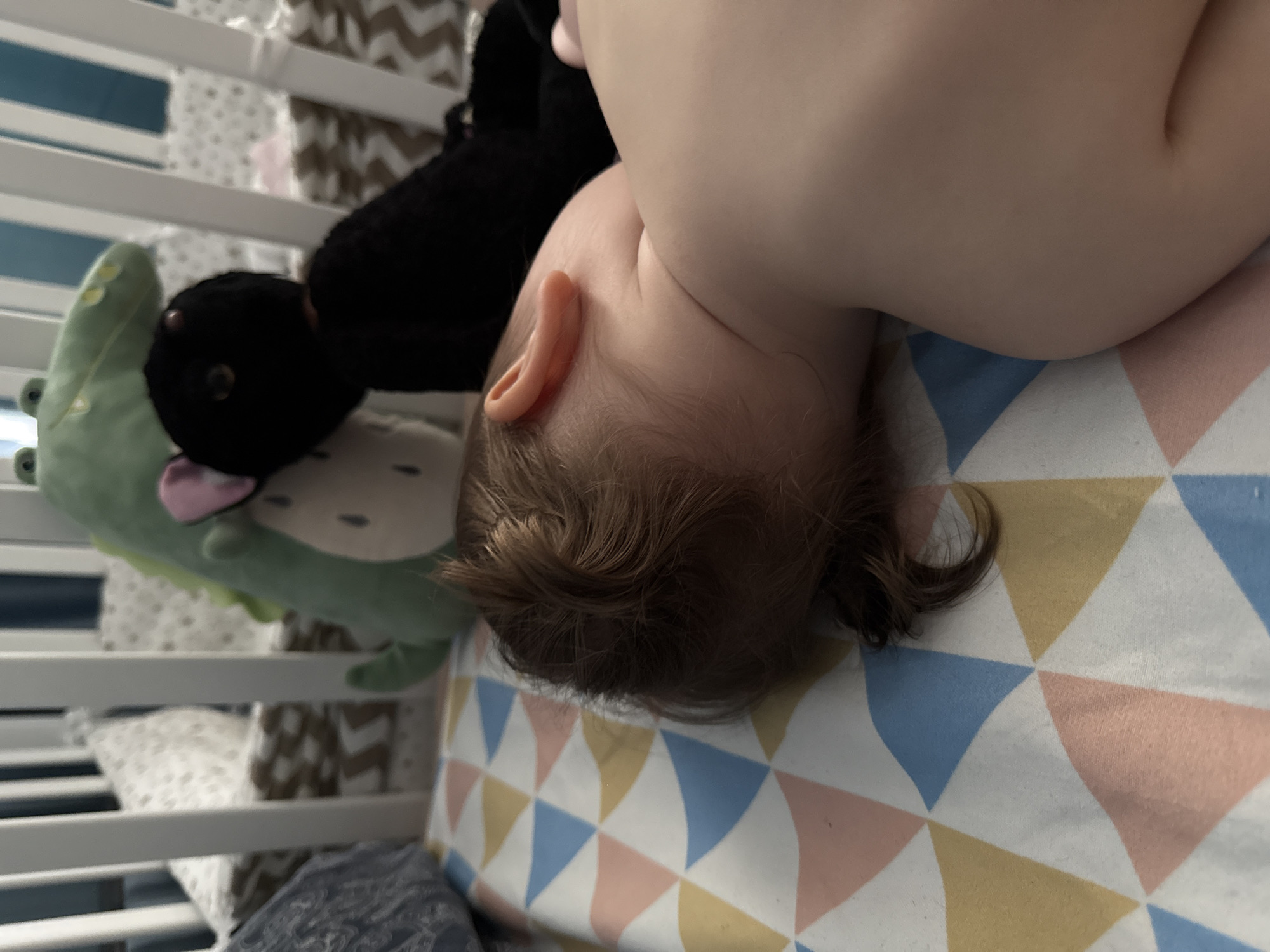 A baby lies prone in a crib. The baby's head is turned to the right, with light brown hair visible. A green alligator plush toy and a black plush toy are positioned near the baby's head. The crib has white vertical bars. The crib sheet has a pattern of triangles in white, blue, pink, and yellow. A patterned bumper is partially visible on the crib side behind the toys. The scene is indoors and lacks specific contextual details to determine a precise location. There is no evidence to suggest this image was taken in Moscow, Russia.