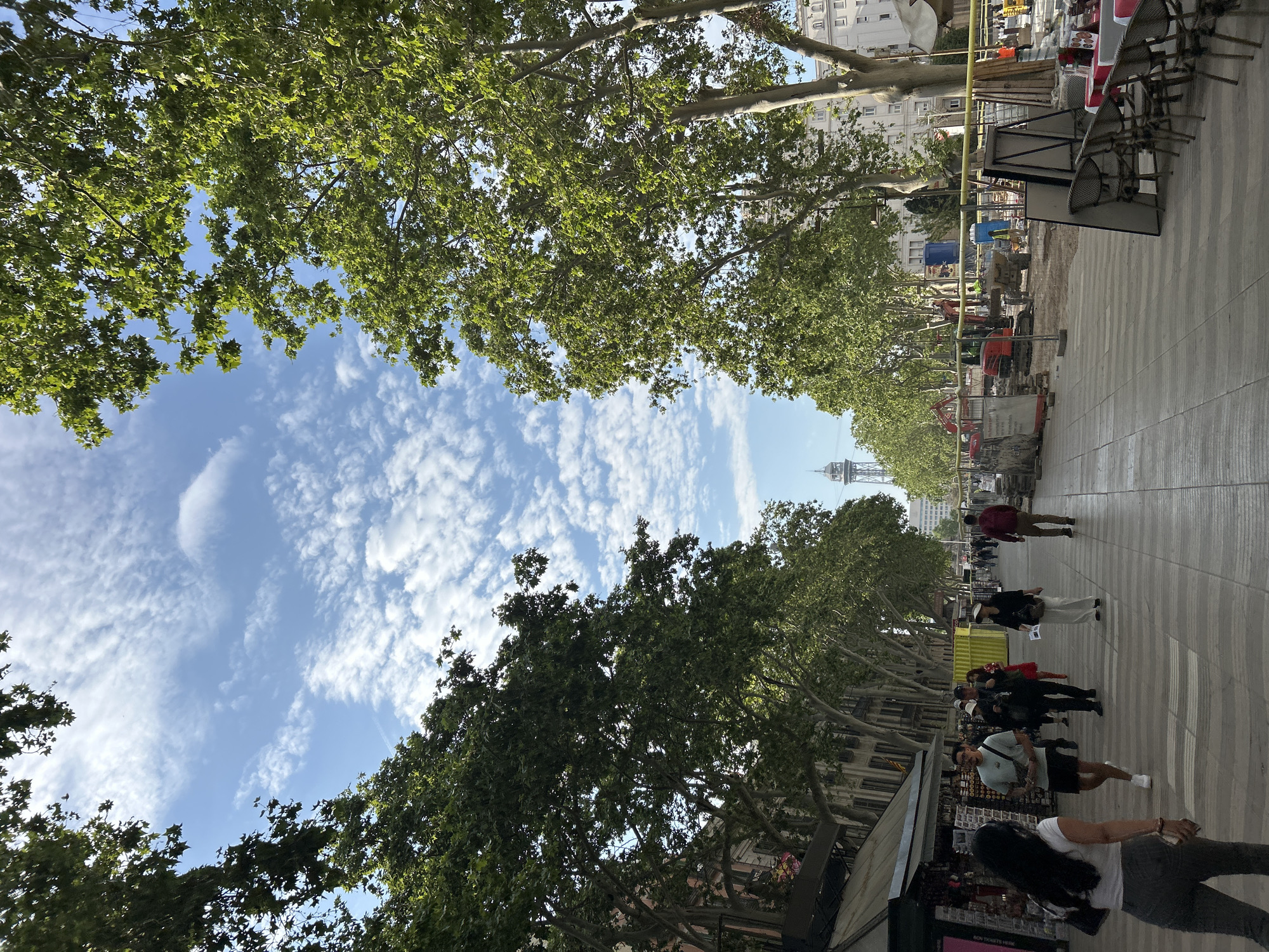 This is a vibrant daytime scene of a wide urban promenade or boulevard in Barcelona, Spain, viewed looking down its length. Lush green plane trees with their characteristic broad leaves line both sides of the walkway, creating a partial canopy overhead. The sky above is a clear blue adorned with scattered white, fluffy clouds, indicating bright, sunny weather.
On the right side of the promenade, numerous pedestrians are visible, strolling, congregating, and browsing at various stalls or kiosks. These stalls offer a variety of goods, with one displaying the partially visible text "NON THANKS HERE" on a black sign. Further along this side, outdoor seating with stacked chairs suggests a café or restaurant area. People are dressed casually, engaging in typical street activities.
The left side of the promenade is dominated by an active construction or renovation site. Yellow barriers and scaffolding separate the pedestrian path from an area containing heavy machinery, including at least two orange excavators, and piles of building materials. Tall, multi-story buildings with classic European architecture are visible behind the trees and construction.
In the far distance, at the end of the promenade, a distinctive metallic tower structure rises against the sky, serving as a notable landmark within the cityscape, consistent with Barcelona's waterfront or telecommunications infrastructure. The scene captures a dynamic urban environment, blending daily life, commerce, and ongoing development under a bright sky.