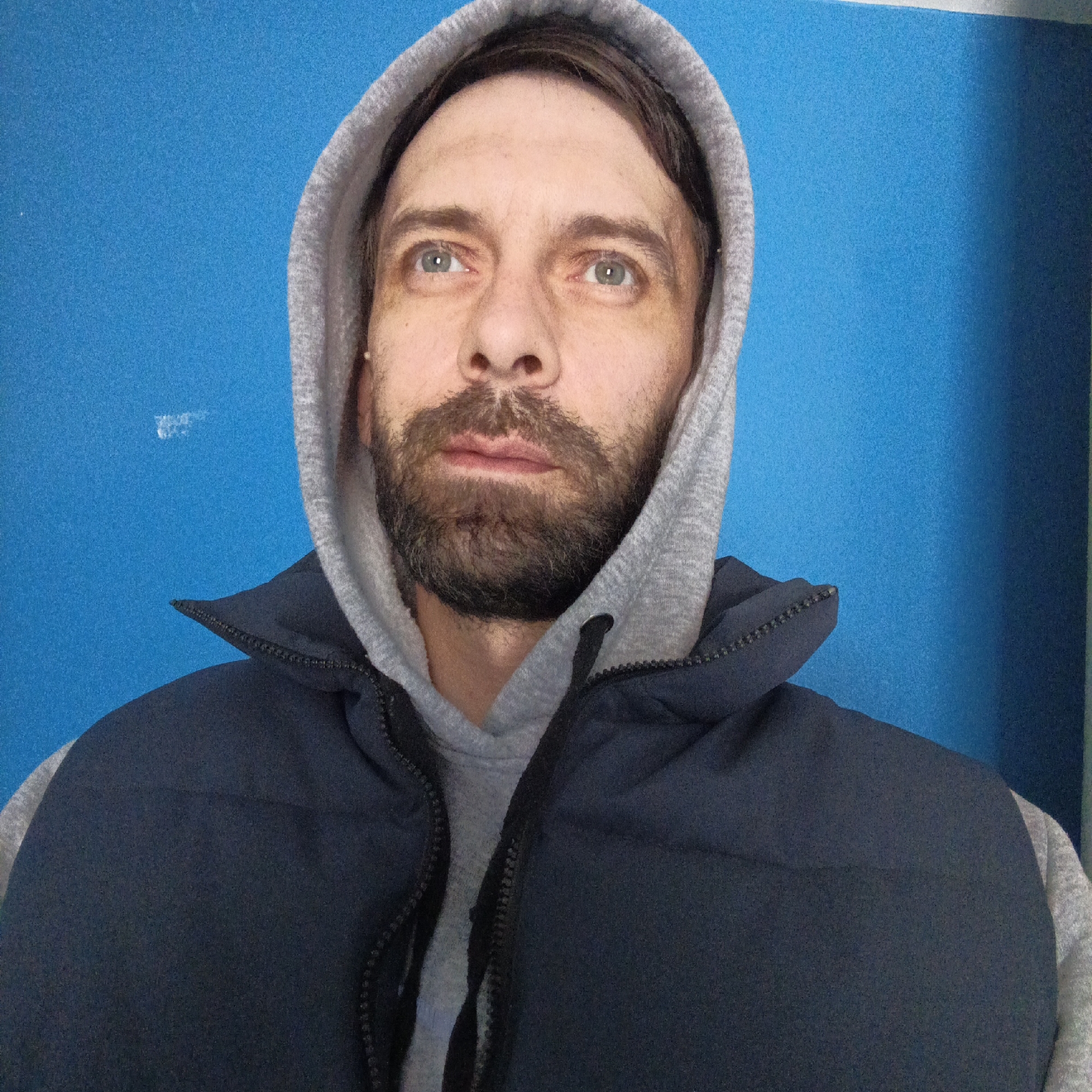 A male individual is depicted in a headshot against a solid blue wall background in Марковский, Russia. The man has a beard and mustache, brown hair partially visible under a grey hooded sweatshirt, and green-blue eyes looking slightly upwards and to the right. He is wearing the grey hooded sweatshirt with the hood up, and a dark blue puffer vest partially zipped over it. A subtle textured pattern is visible on the blue wall.