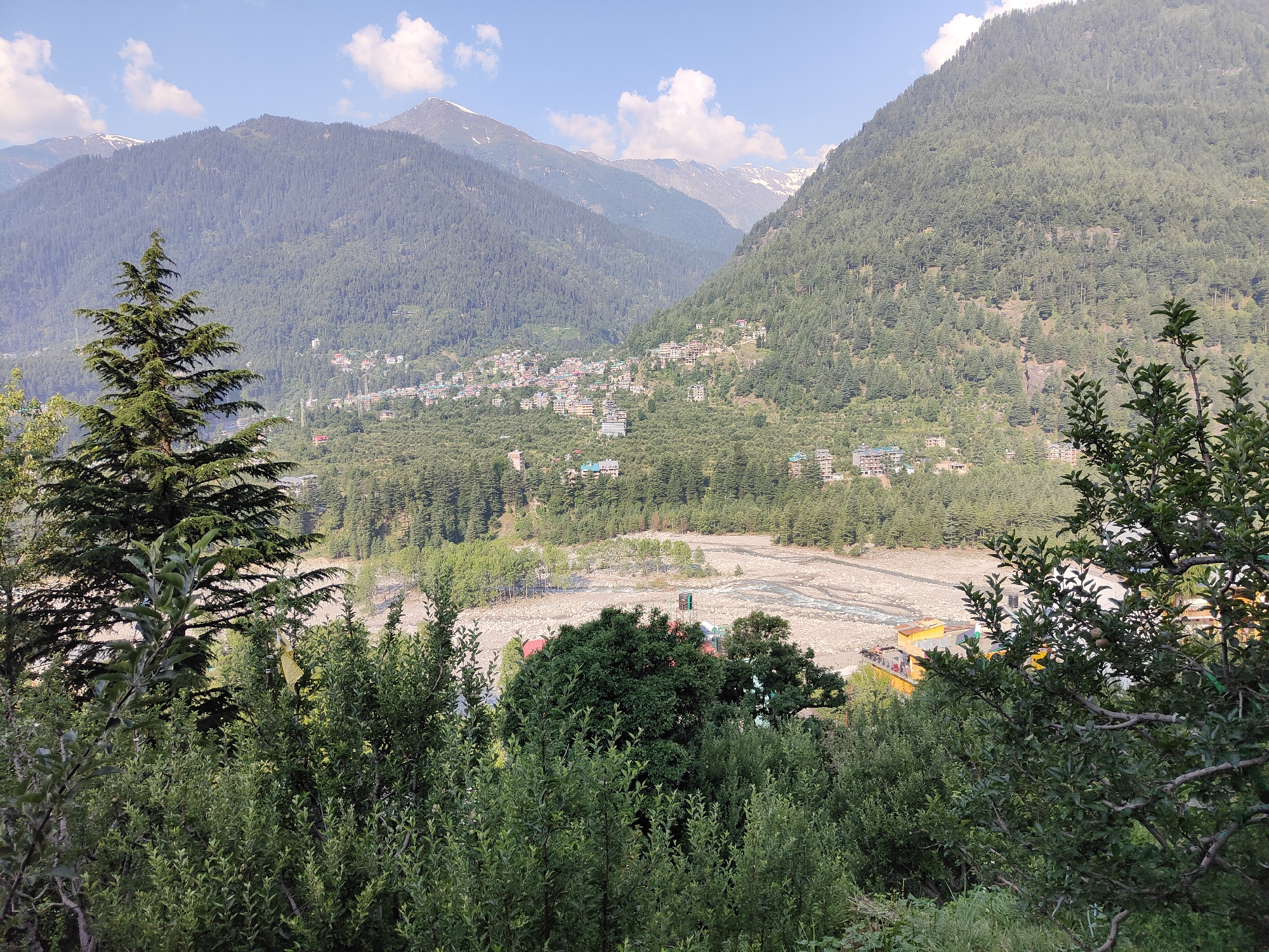 The image captures a scenic overview of the valley town of Vashisht, India, nestled within the Himalayan foothills. The foreground is dominated by lush green foliage, with the branches of trees and bushes obscuring a direct view of the lower parts of the scene.
In the middle ground, a wide, stony riverbed meanders through the valley, with a visible river flowing through it. Scattered along the riverbanks and in the valley floor are numerous buildings, forming a town or village. These structures vary in color and size, with some appearing to be houses and others larger complexes, likely hotels or guesthouses, given Vashisht's status as a tourist destination known for its hot springs. The buildings are mostly clustered together, creating a dense settlement.
The background is characterized by towering, densely forested mountains. The slopes are covered in a thick carpet of pine trees, typical of the Himalayan region. In the distance, the peaks of the mountains are visible, some with snow-capped summits, indicating a high altitude. The sky above is a clear blue, with a few scattered white clouds.
The overall impression is one of a tranquil, natural landscape with human settlement integrated into the environment. There are no visible people or distinct actions being performed. The scene is static and picturesque, highlighting the natural beauty of the location. The quality of light suggests it is daytime, likely late afternoon due to the warm tones and gentle shadows. The image appears to be taken from an elevated position, looking down into the valley.