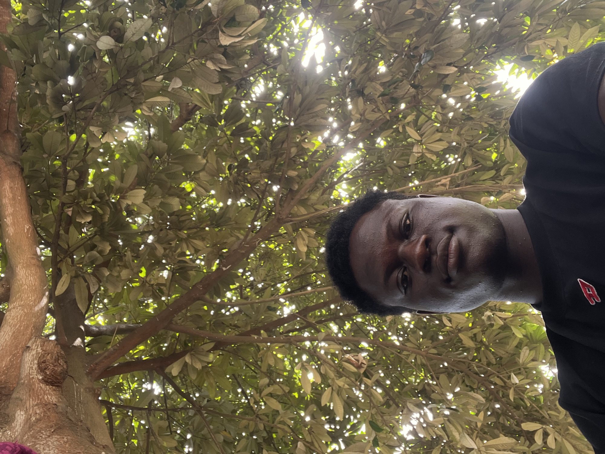 The image shows a man with dark skin and short black hair, wearing a black t-shirt with a small red and white logo on the chest. He is positioned on the right side of the frame, looking directly at the camera with a slight smile. The background features a large tree with dense green leaves and branches, with patches of sunlight filtering through the foliage. The location is likely outdoors, possibly in a park or wooded area. The location is in Badagry, Nigeria.