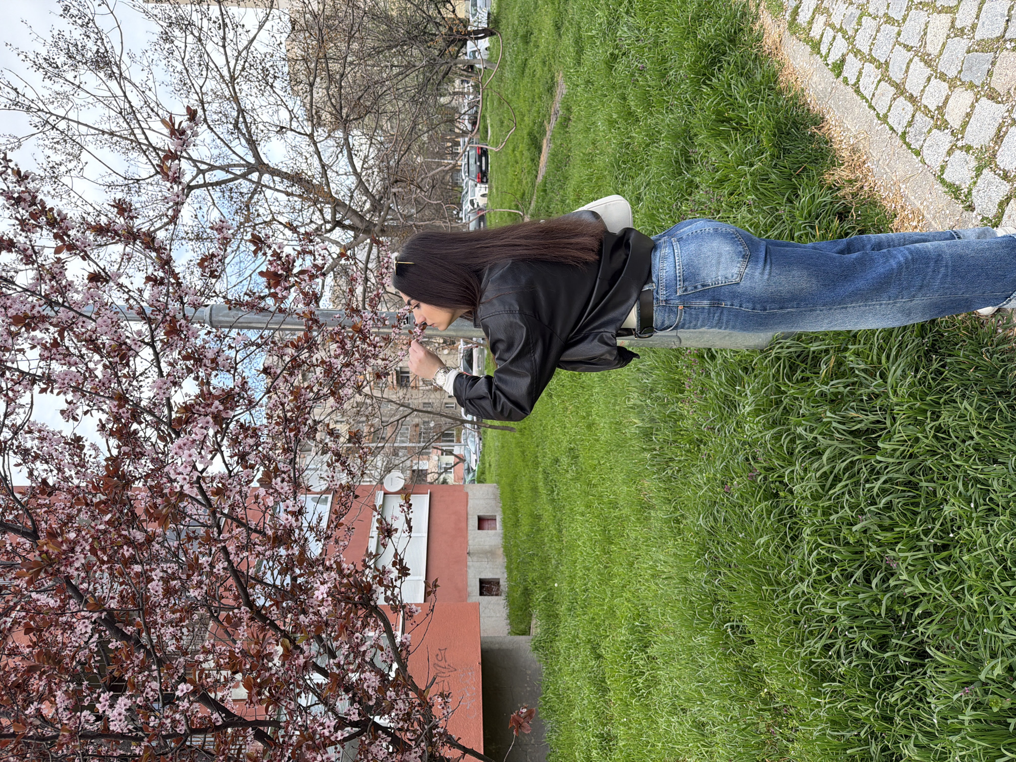 A young woman is seen outdoors, smelling pink flowers on a tree. The woman is wearing blue jeans and a black leather jacket over a white shirt. She is leaning towards the blossoms, situated to the left of the frame. A building with a red facade is visible behind the tree. The woman is standing on green grass, and a paved sidewalk is visible on the right. The location is Plovdiv, Bulgaria. Other bare trees and buildings are visible in the background. Cars are parked along a road.