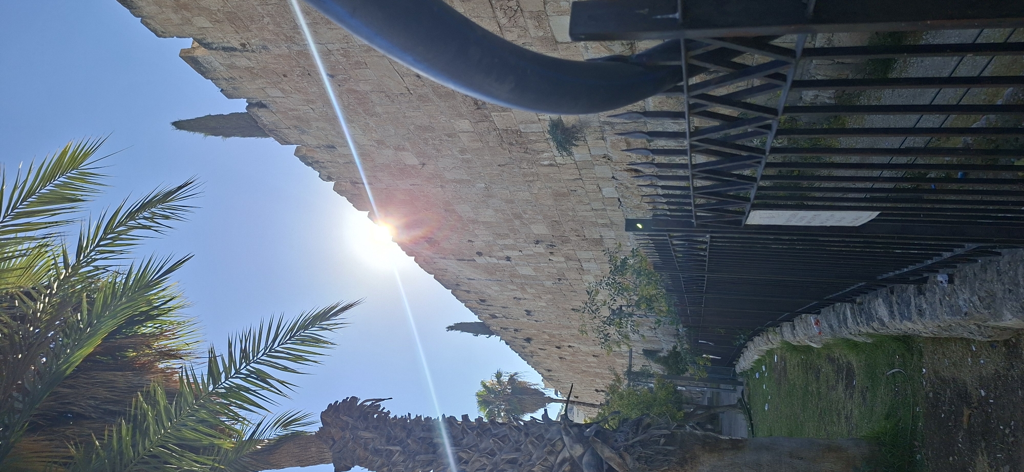 The image depicts a sun-drenched view of a section of the ancient city walls of Jerusalem, Israel. A large palm tree with fronds arching towards the left dominates the foreground, its rough trunk partially visible. Beyond the tree, a tall, weathered stone wall stretches diagonally across the frame, punctuated by irregular blocks and occasional dark openings or indentations. The sun's intense rays break through the clear blue sky, creating a lens flare effect and casting a bright glow across the upper portion of the wall.
In front of the stone wall, a black metal fence with pointed vertical bars runs along the lower part of the image, obscuring a narrow grassy area and a stone base. The grass appears somewhat worn and littered with small pieces of debris. A few scattered trees and bushes are visible behind the fence, nestled against the base of the city wall. A thin, dark, curved pipe or railing is also present in the extreme right foreground, partially out of focus. The overall scene suggests an outdoor environment under bright daylight, possibly in the morning or late afternoon given the angle of the sun.