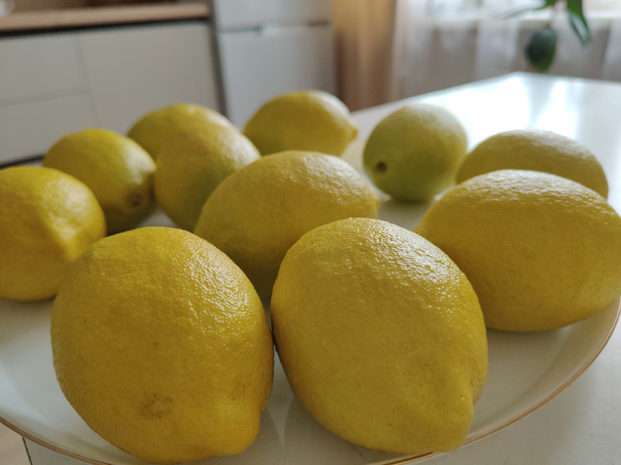 A close-up shot of a plate filled with lemons, likely indoors, on a white table. There are approximately ten lemons visible, predominantly yellow with some green hues, suggesting varying degrees of ripeness. The lemons are clustered together, filling the plate. The table and the kitchen appliances create depth in the background, with a glimpse of a plant visible near a window. No city or people are definitively observable.