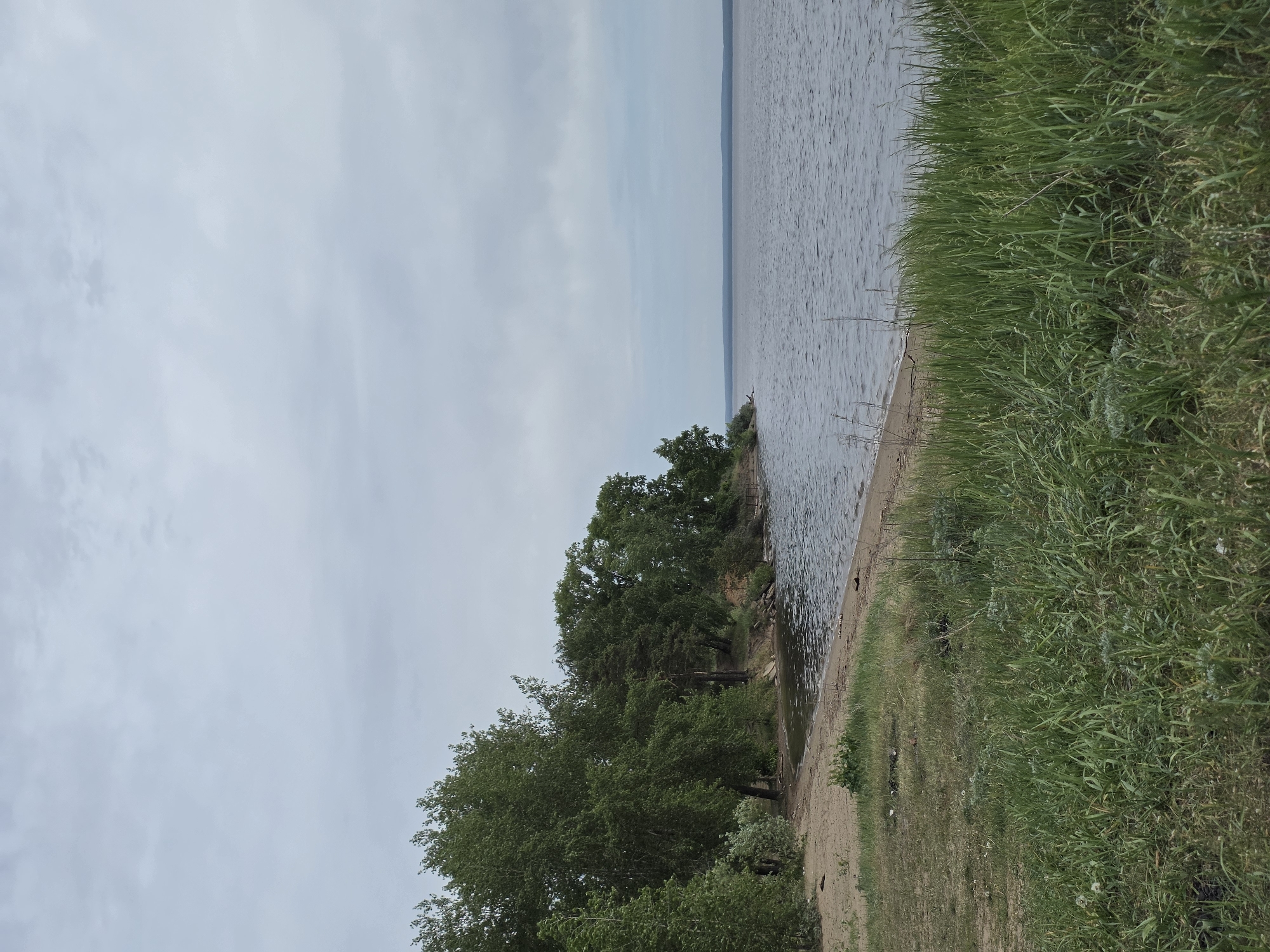 The image depicts a shoreline scene in Noviy, Russia. Water extends towards the horizon under a cloudy sky. The foreground features a grassy bank transitioning to a sandy beach. Trees are present along the shoreline. There are no people visible. The image does not provide enough information to identify specific landmarks or objects.
