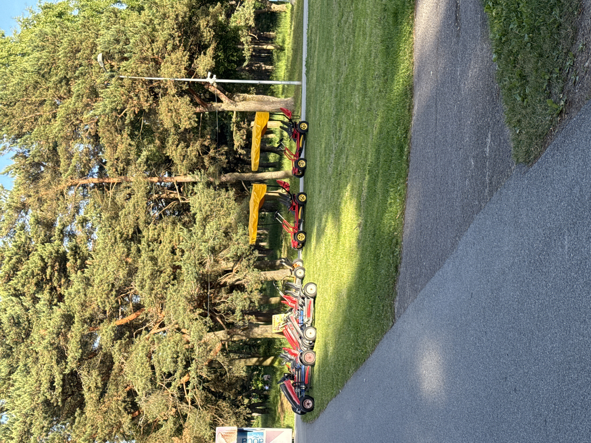 In Tallinn, Estonia, a line of red and black pedal go-karts with yellow canopies are parked on a grassy area next to a paved pathway. The go-karts are facing right, and some have red seats and yellow wheels. Behind the go-karts, tall coniferous trees form a dense forest. A light pole with a security camera is visible to the right of the go-karts. The sun is shining, casting shadows on the grass.