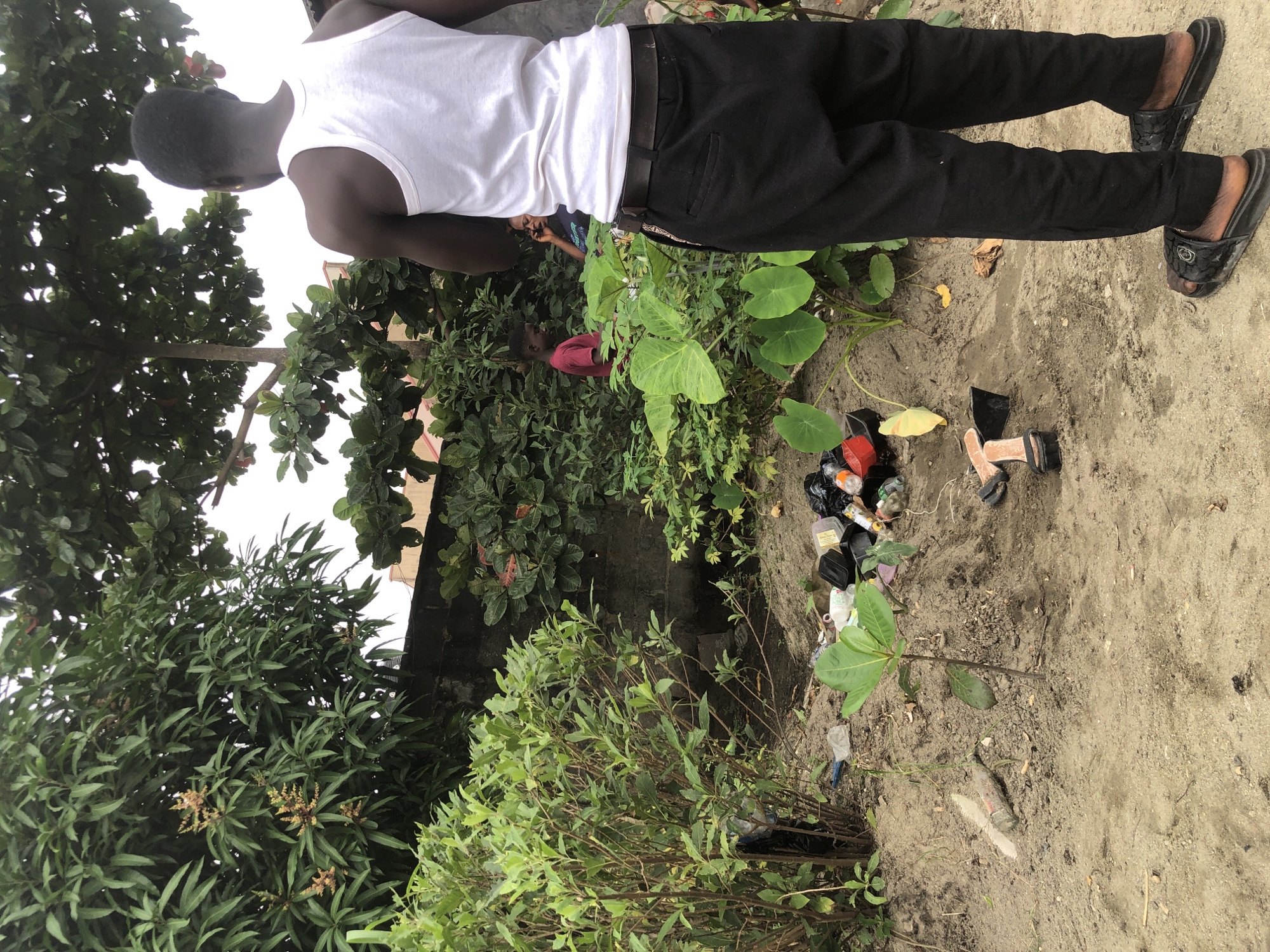In Ado, Nigeria, a young Black man stands with his back to the camera, facing a lush, overgrown yard. He is wearing a white tank top and black pants. The yard is filled with dense green foliage, large-leafed plants, and several trees. In the foreground, a small tree sapling sprouts from the sandy ground. Scattered around the base of the sapling and further back near the plants, there is a noticeable amount of debris, including plastic bottles, bags, and other refuse. In the background, partially obscured by the greenery, two other individuals are visible: a young Black boy in a red t-shirt and a woman in a dark shirt, seemingly engaged in a conversation. The overall impression is a somewhat neglected urban outdoor space with signs of both natural growth and human litter.