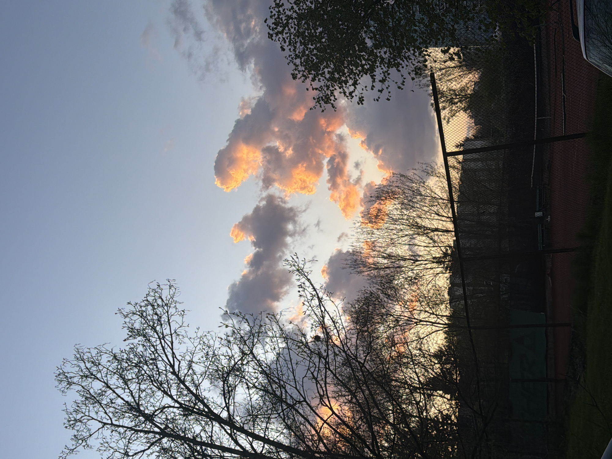 The image shows a sunset view, likely in Sofia, Bulgaria, based on architectural styles and common vegetation. The sky is a pale blue with striking orange-lit clouds scattered across the center. Silhouetted tree branches frame the bottom and top of the view. A chain-link fence runs along the right side of the image, bordering a tennis court with a dark red surface. Some green grass is visible in the foreground. A portion of a vehicle is seen on the right edge of the image. There are no people visible in the picture.