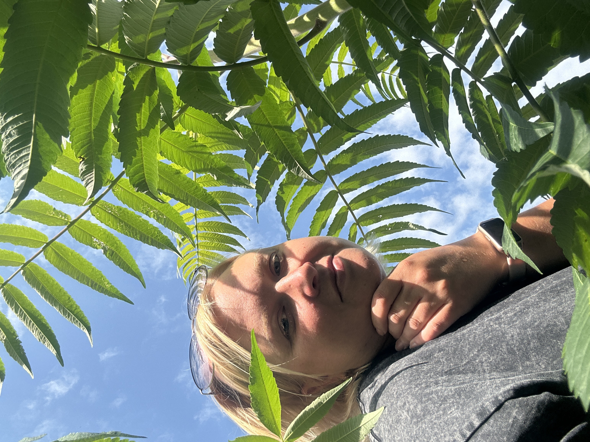 A blonde woman with sunglasses on her head is looking up at the camera from beneath a tree with large green leaves. She is resting her chin on her hand and her left arm is resting on her chest. She is wearing a gray t-shirt. The sky is blue with some clouds and the sun is casting shadows on her face. The image appears to be taken outdoors, likely in a park or backyard. There is no indication of the city of Chaikovsky, Russia in the image.