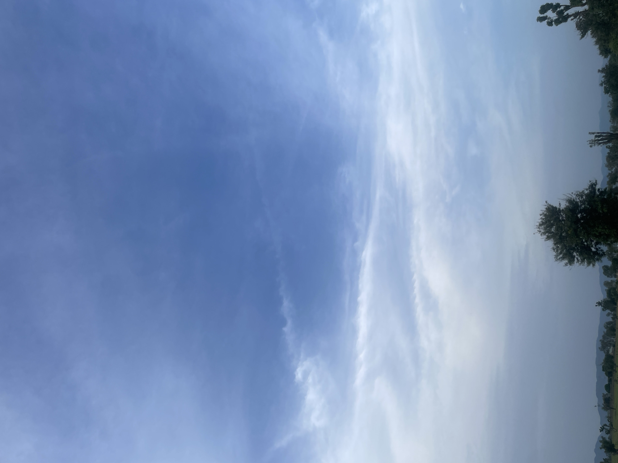 The image captures a vast expanse of blue sky filled with wispy white clouds. The clouds are scattered across the sky, with denser formations in the lower portion of the frame, gradually thinning out towards the top. The sky transitions from a lighter hue near the horizon to a deeper blue overhead.
Below the sky, a hazy horizon is visible, with a silhouetted landscape of trees and distant hills. The trees are dark and appear to be scattered across a relatively flat terrain. One prominent tree stands out in the foreground, its dark foliage contrasting with the lighter sky. The overall impression is one of a natural landscape under a cloudy sky.
The image does not contain any people, actions, or interactions. The scene appears to be a candid shot of the sky and landscape. The location is stated to be Jauro Yinu, Nigeria, which is a rural area in the northeastern part of the country, known for its vast savannas and agricultural lands. The cloudy sky suggests a natural weather phenomenon, possibly indicating a change in weather or the presence of dispersed clouds during a particular time of day.