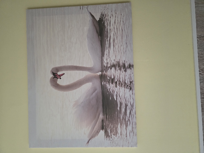 A rectangular photographic print or canvas, displaying two white swans on water, is mounted on a light yellow wall. The swans are positioned centrally, facing each other with their necks arched to form a heart shape where their heads meet. Their beaks are reddish-pink with black accents. The left swan has its wings slightly flared, while the right swan maintains a calmer posture. Both swans are floating on a body of still, greyish-white water that provides clear reflections of their forms directly below them. The wall extends above and slightly to the sides of the print. Below the light yellow wall, a thin white skirting board is visible, separating the wall from a light brown, wood-grained floor. The image does not contain visual markers to identify its precise location within Chaikovsky, Russia.