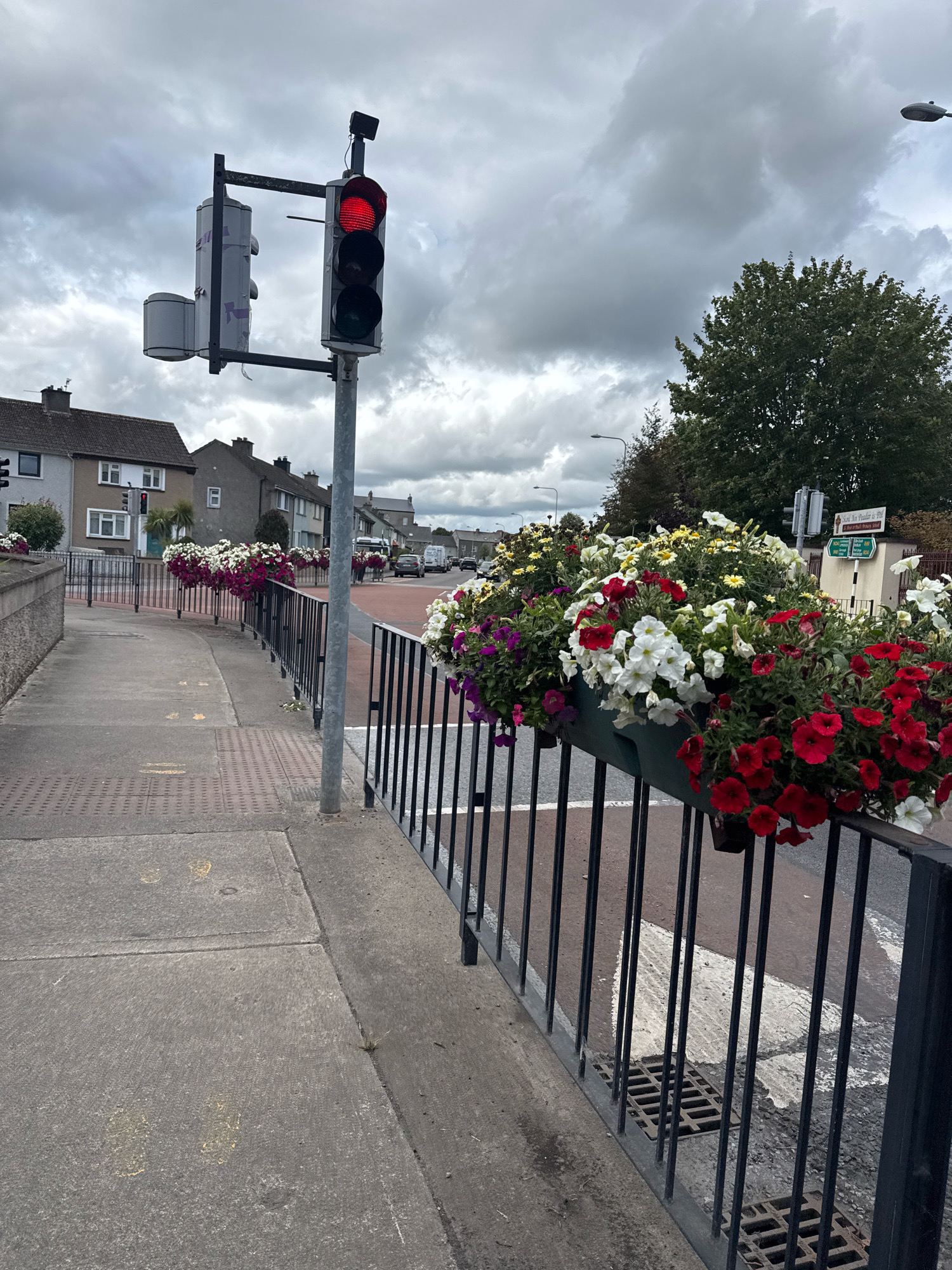 The image shows a traffic light in Clonmel, Ireland, with the red light illuminated. The traffic light is situated at a street intersection, with a sidewalk and a black metal railing in the foreground. The railing is adorned with hanging flower baskets filled with red, white, and purple petunias, as well as other colorful flowers. The sidewalk is made of concrete and paving stones, with some yellow markings. In the background, there are houses, trees, and vehicles on the road. The sky is overcast with dark clouds.