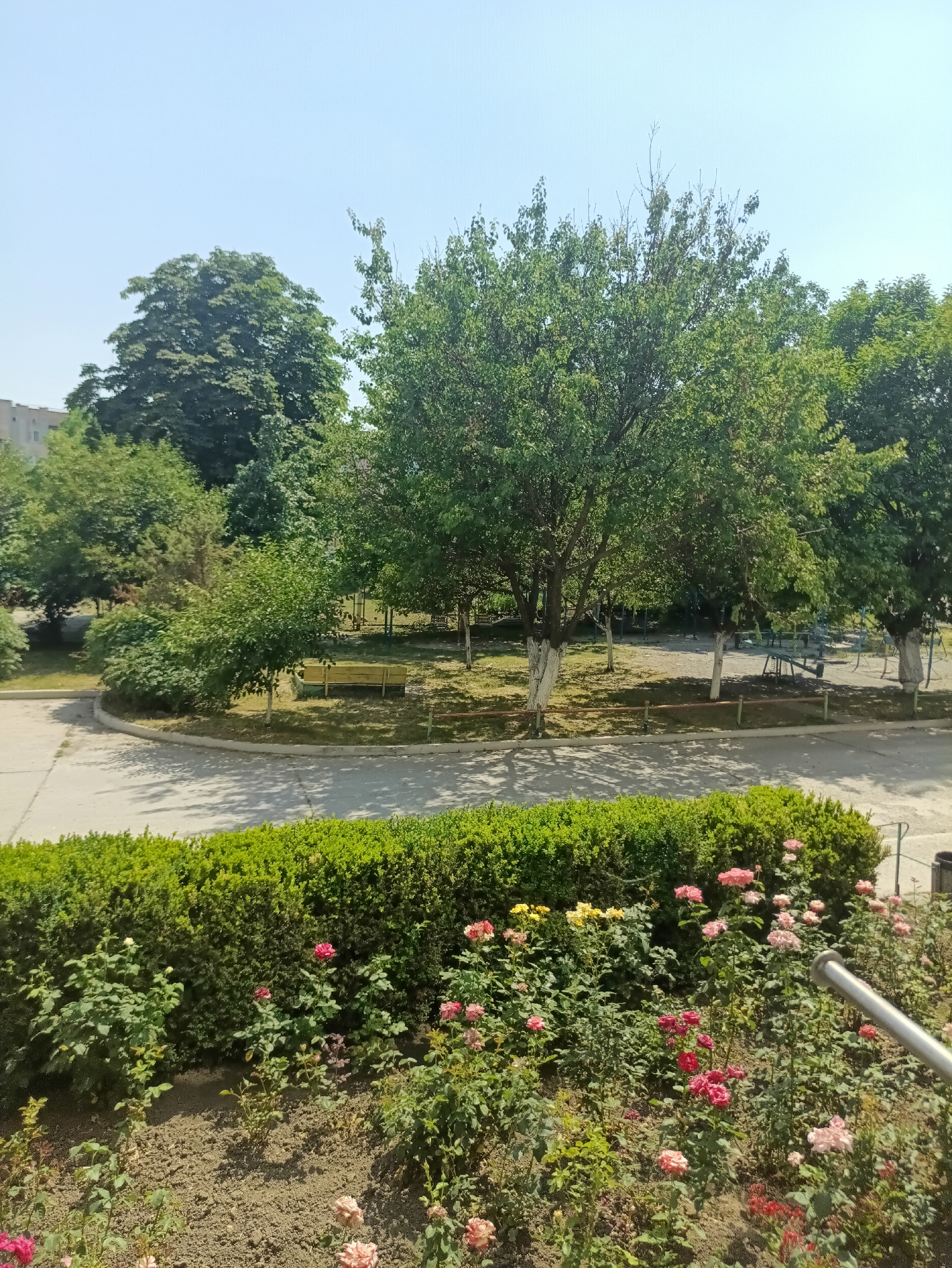 This is a medium-shot, eye-level, outdoor photograph taken on a sunny day. The scene depicts a park-like area with lush green trees and a well-maintained flowerbed in the foreground. The flowerbed features a variety of roses in shades of pink, red, and yellow, interspersed with green foliage. Behind the flowers is a neatly trimmed green hedge.
Beyond the hedge, a paved area curves to the left, suggesting a pathway or road. Further into the park, several trees are visible, some with their lower trunks painted white, a common practice for tree care. One tree in the mid-ground has a wooden bench beneath it. In the background, playground equipment, including a see-saw and swings, can be seen, indicating the area is likely a public space for recreation, possibly a schoolyard or community park. A multi-story building is partially visible in the far left background, suggesting an urban or suburban setting. The sky is clear and bright blue, typical of a sunny afternoon. There is no visible text in the image. The overall atmosphere is serene and pleasant, evoking a sense of calm and natural beauty.