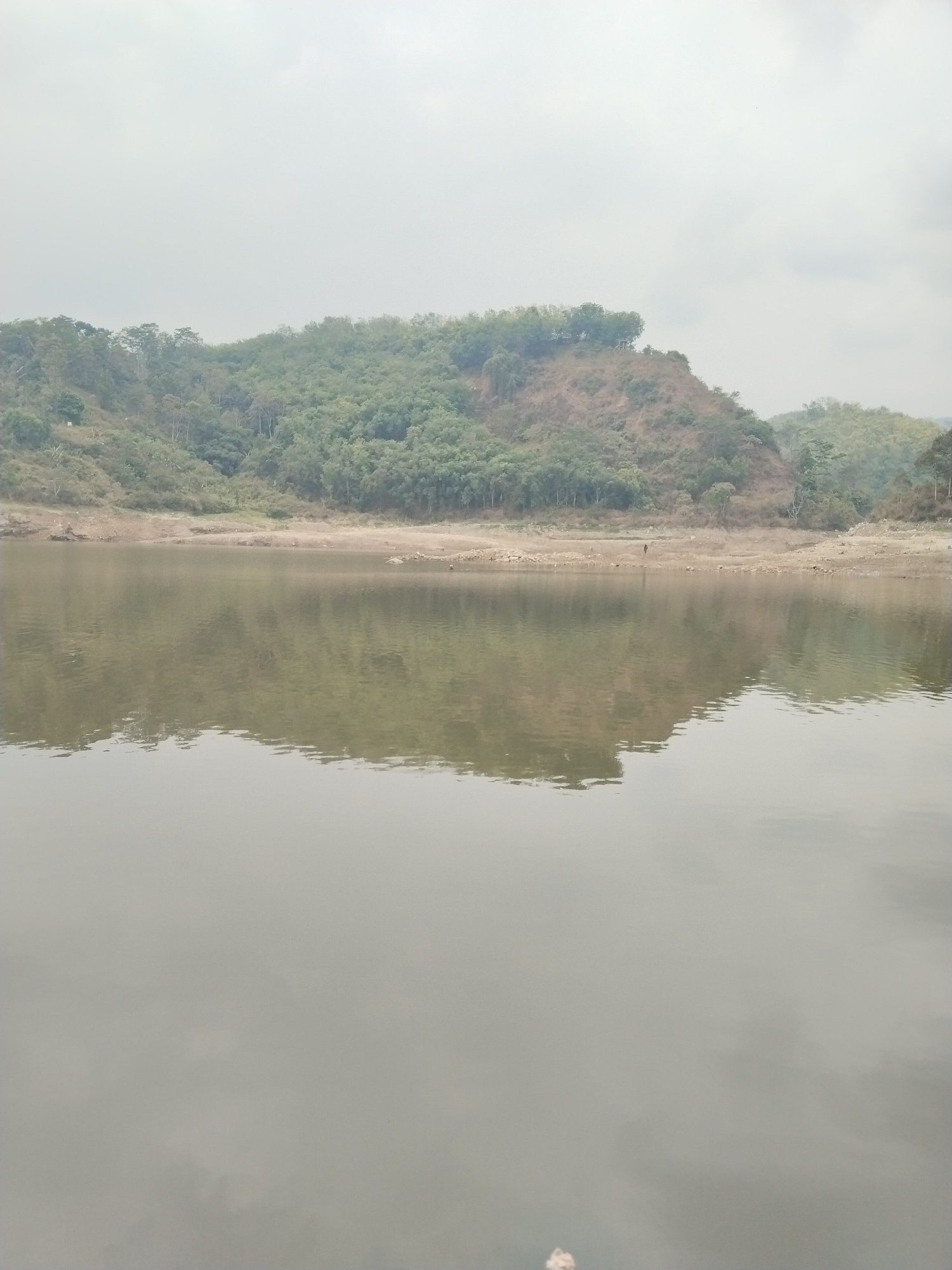 The image depicts a tranquil body of water reflecting a treelined hill. The hill is covered in lush green foliage, with patches of brown earth visible, suggesting a natural, undeveloped landscape. The water is calm and clear, with subtle ripples creating a mirror-like surface that captures the essence of the surrounding scenery. The sky above is overcast, casting a soft, diffused light over the entire scene, contributing to the serene and peaceful atmosphere. In the distance, a lone figure stands on the shore, adding a human element to the otherwise natural environment. The location is identified as Jatirejo, Indonesia.