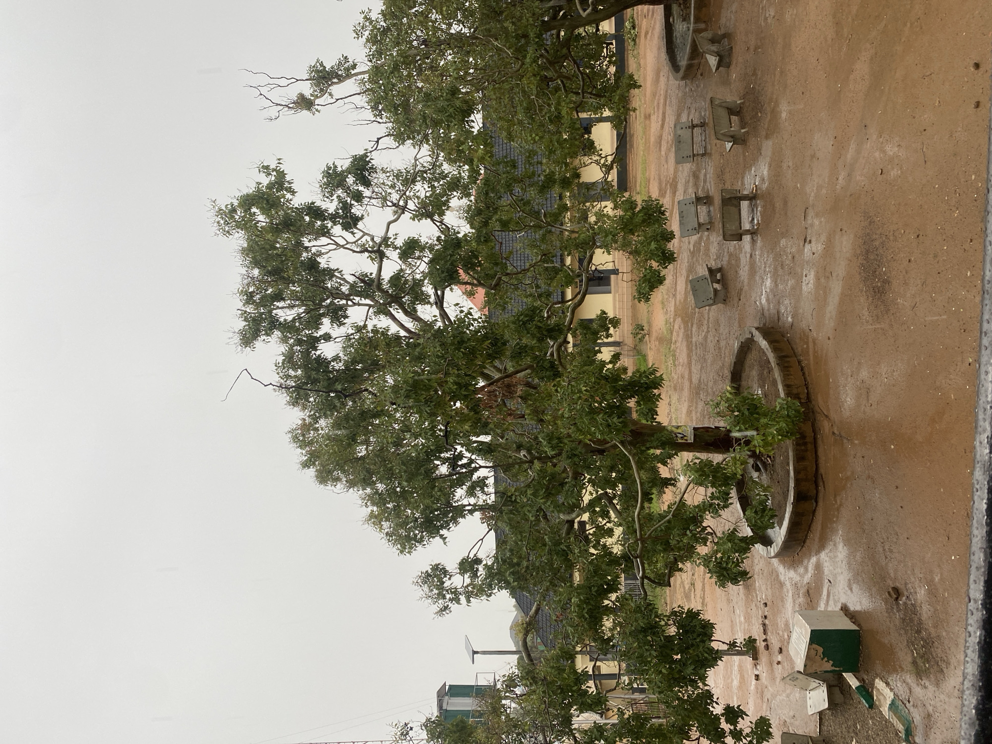 This image depicts an outdoor communal or institutional area, likely a courtyard, under an overcast sky following a rainfall. The scene is dominated by several large, mature trees with lush green foliage and visible, gnarled branches. One prominent tree stands within a circular concrete planter in the midground.
The ground is predominantly a reddish-brown dirt or mud, appearing visibly wet with scattered puddles and streaks of water, indicating recent rain. Several simple, square-shaped concrete or metal benches or stools are arranged across the wet ground, appearing weathered.
In the background, a building with light yellow walls and a dark grey or black tiled roof is partially visible through the tree canopy, featuring dark, rectangular windows. Towards the bottom right, a rectangular concrete block, painted green and white, rests on the ground. Faint, indecipherable markings or a partial logo can be seen on its white section. Further in the background on the left, a tall structure with a small, flat panel, possibly a solar panel or antenna, is visible.
The absence of people and the wet conditions suggest a quiet moment after precipitation, characteristic of a rainy period in a location like Jos, Nigeria. The lighting is soft and diffuse due to the cloudy sky. No clearly legible text is discernible in the scene.