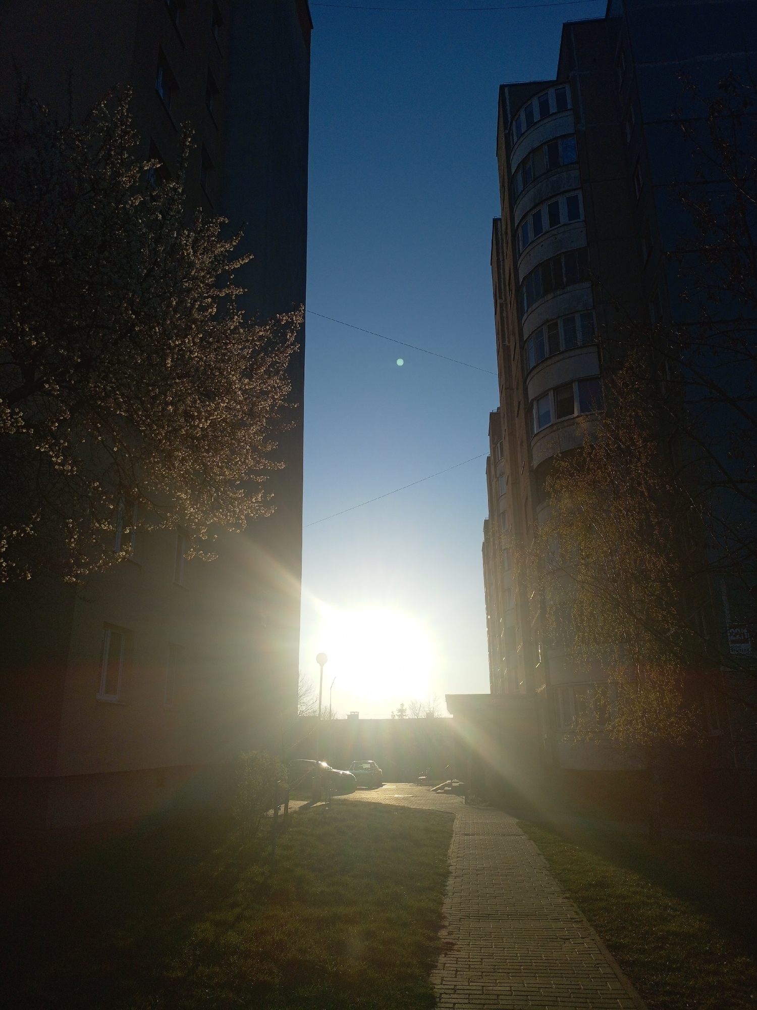 The image captures an urban scene in Hrodna, Belarus. Two tall buildings frame a pathway leading toward a bright sun, which obscures distant features. The building on the left is stark and rectangular, adorned with a tree in bloom. The building on the right has a more ornate, curvilinear facade. A paved walkway stretches from the foreground toward the light. Patches of grass line the walkway. In the distance, parked cars and a street lamp are visible, shrouded in the sunlight.