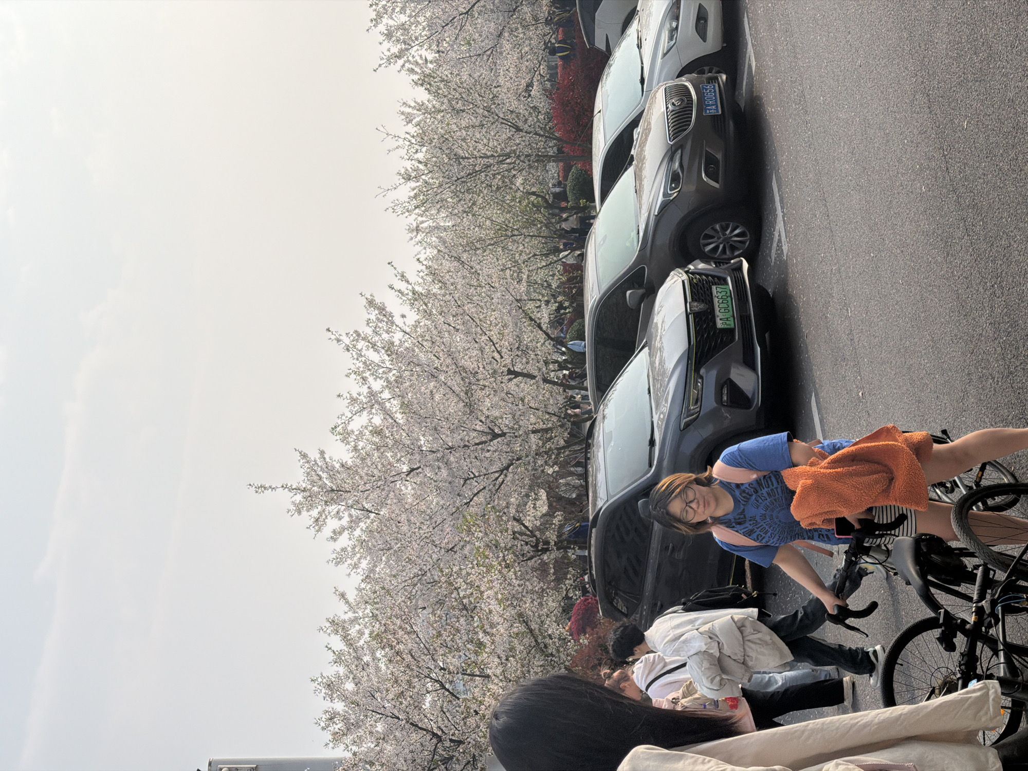 The image depicts a scene in Jiangning District, China, likely during cherry blossom season. Several cars are parked along a street adjacent to trees in full bloom, their branches filled with white flowers. A group of people are gathered near the parked cars, some sitting on the ground. One person is standing next to a bicycle.
