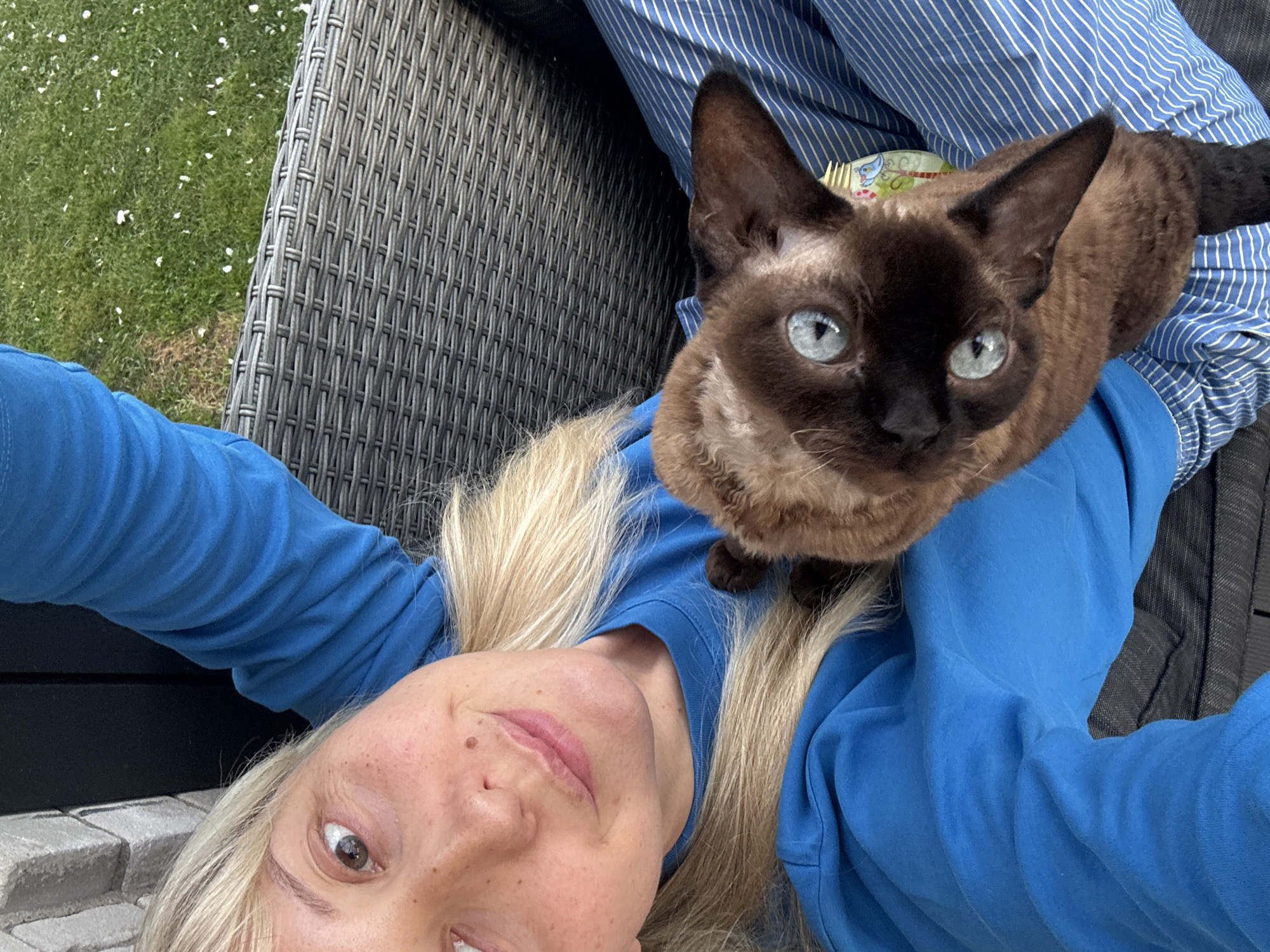 A woman with blonde hair and fair skin, wearing a blue long-sleeved shirt, is holding a brown cat with blue eyes. The cat's head is tilted, and it appears to be looking at the camera. They are seated on a woven chair, with a grassy area visible in the background. The scene is set outdoors, possibly in a backyard or garden, with a brick wall on the left side of the frame. The overall impression is one of a casual, relaxed moment captured in a domestic setting. The location is identified as Carnikava, Latvia, suggesting a European context for the photograph. The woman's pose and the way she is holding the cat imply a close bond between them. The cat's distinctive blue eyes and short, curly fur suggest it might be a breed like a Devon Rex or Cornish Rex. The natural lighting and outdoor setting contribute to the candid feel of the image.