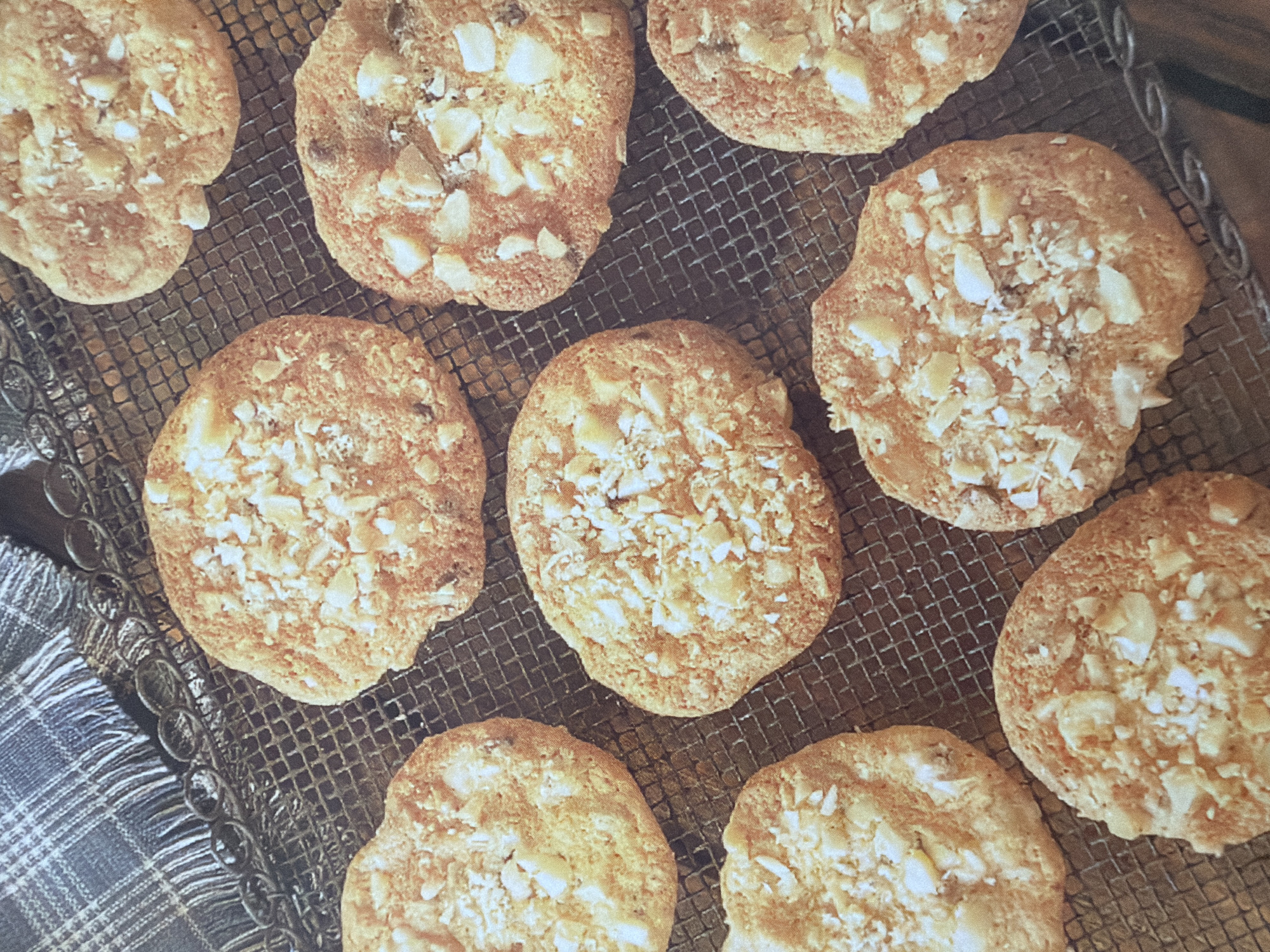 An overhead shot of approximately ten white chocolate macadamia nut cookies arranged on a wire cooling rack. The cookies are golden brown and appear to have a chewy texture, with visible chunks of white chocolate and macadamia nuts on top. A dark blue and white checkered cloth is draped over the back left of the cooling rack. The background is dark and out of focus.