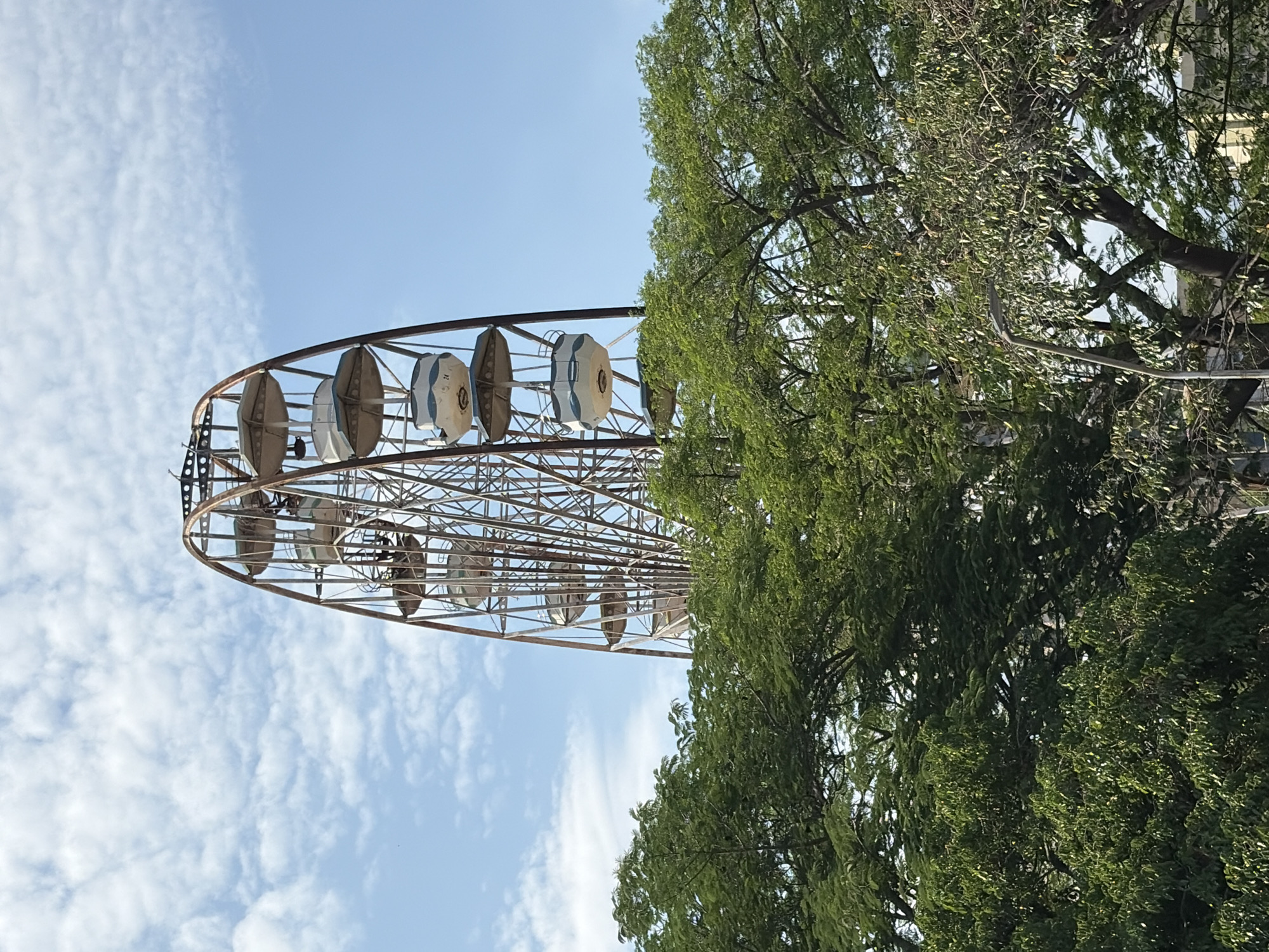 This outdoor image, taken in Ciudad Guayana, Venezuela, features a partial view of a large Ferris wheel positioned against a bright blue sky with scattered white clouds. A substantial, lush green tree occupies the right side of the frame, its dense foliage and branches obscuring part of the Ferris wheel.
The Ferris wheel's metallic lattice structure is prominent, showing its intricate construction. Several passenger gondolas or cabins are visible along its rim. These gondolas appear to be of two main types: some are light-colored, possibly white or light blue, while others are a darker beige or brown. On one of the light-colored gondolas, the number "24" is clearly discernible.
The scene suggests a sunny day, likely mid-morning or early afternoon, given the clear sky and ample natural light. There is no visible activity or people, presenting a serene view of the amusement ride and its natural surroundings. The combination of the mechanical structure and the vibrant tree creates a blend of urban leisure and natural beauty.