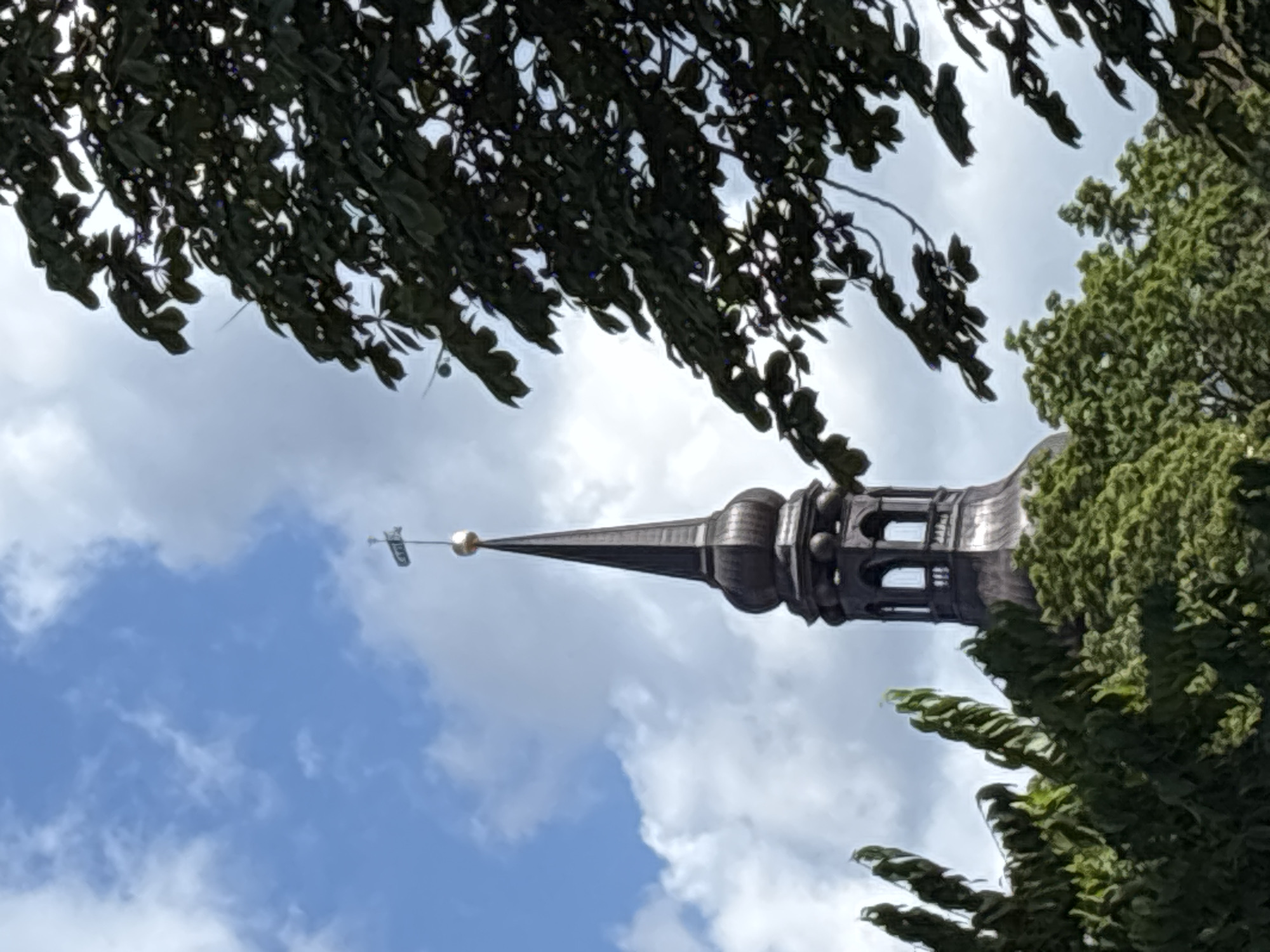 The image shows the spire of a church in Tallinn, Estonia, framed by trees. The spire is dark and pointed, with a gilded finial at the top that appears to be a weather vane. The sky is blue with white clouds. The trees in the foreground are lush and green, with some darker foliage in the upper right corner. The overall impression is one of a bright, sunny day in a European city.