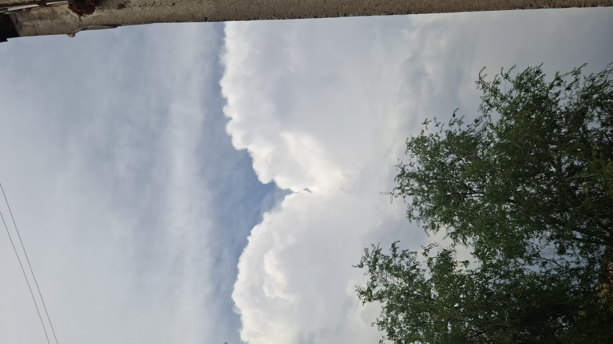 This is a media file featuring an outdoor scene, likely taken from a low angle looking upwards. The dominant elements are the sky filled with large, billowing white cumulus clouds, interspersed with patches of blue sky. Wispy, lighter clouds are also visible, suggesting a dynamic weather pattern.
In the foreground and to the right, the upper branches of a lush green tree are visible. The leaves are dense, creating a textured canopy.
At the very top of the frame, a rough, concrete structure with some brown material attached is present, possibly indicating a building edge or ledge. Some dark lines, likely power lines, are visible in the lower left portion of the image.
The time of day appears to be daytime, given the bright sky and clouds, and the lighting suggests it could be late afternoon or early evening, with the sun's angle casting soft light. The weather seems to be fair but with significant cloud cover.
No people or specific objects other than the tree and power lines are identifiable. The scene evokes a sense of openness and nature.
There is no visible text in the image.
The location context provided is Shymkent, Kazakhstan. This would imply that the tree and the general appearance of the sky and clouds are characteristic of the region.