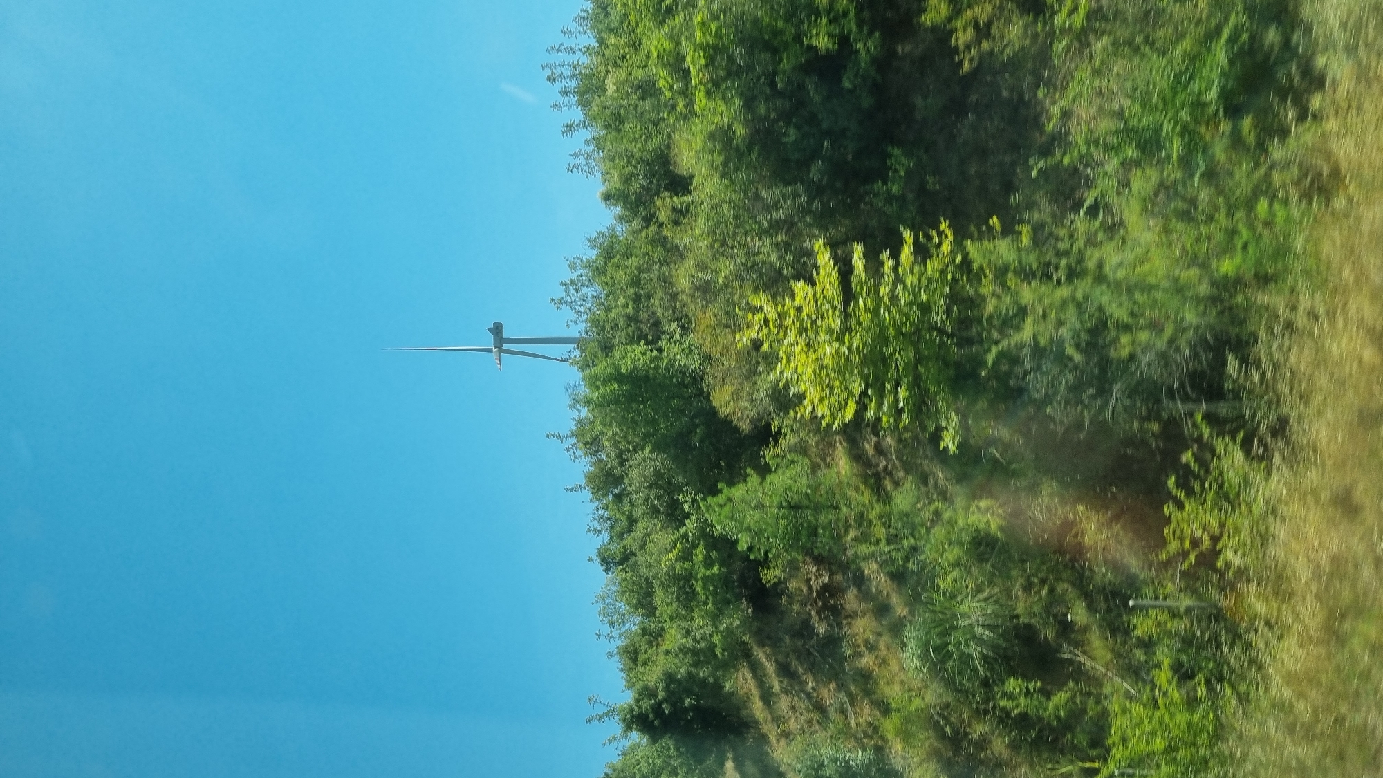 A wind turbine stands on a lush, green hillside against a clear blue sky. The turbine has two blades and a tall, slender tower. The hillside is covered in dense vegetation, with a variety of trees and bushes. The image appears to be taken from a moving vehicle, as evidenced by the slight blur in the foreground, which shows a patch of dry grass. The location is the Municipality of Promachon, Greece.
