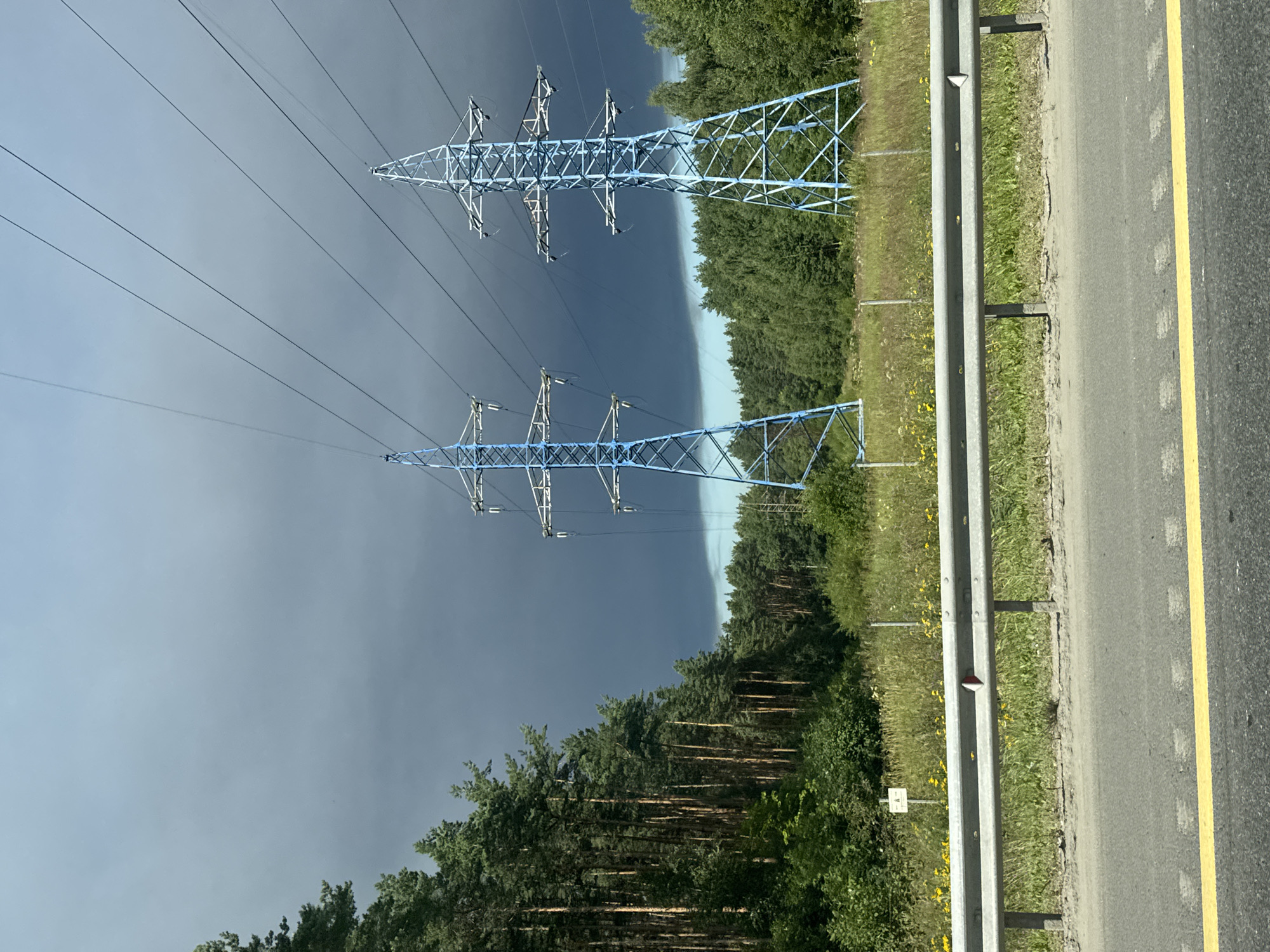 This is a photograph taken in the city of Domodedovo, Russia. The image depicts a scene with two tall, blue electricity pylons standing prominently in a landscape. The sky above is dark and cloudy, suggesting impending bad weather. To the left of the pylons is a dense forest of tall, green pine trees. In front of the pylons and trees, there is a grassy field with some yellow wildflowers. A metal guardrail runs horizontally across the foreground of the image, separating the grassy area from a paved road, which has a yellow line marking one of its lanes. The overall impression is one of a rural or semi-rural area, with the industrial presence of the electricity pylons contrasting with the natural environment.