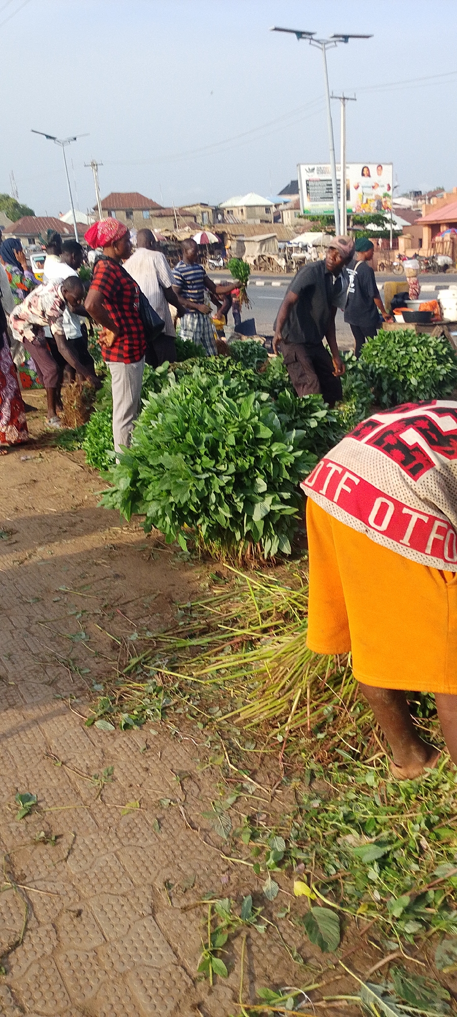 The image depicts a bustling roadside market scene in Lokoja, Nigeria. Several people are gathered around piles of freshly harvested green leafy vegetables, possibly amaranth or similar local produce. Some individuals are sorting, bundling, or displaying the vegetables for sale. The environment includes a paved or concrete surface alongside a road, with vehicles visible in the background. Buildings and billboards are also present, indicating an urban or semi-urban setting within Lokoja. The light suggests it's daytime, likely morning or afternoon. People are dressed in casual wear, typical of local markets.