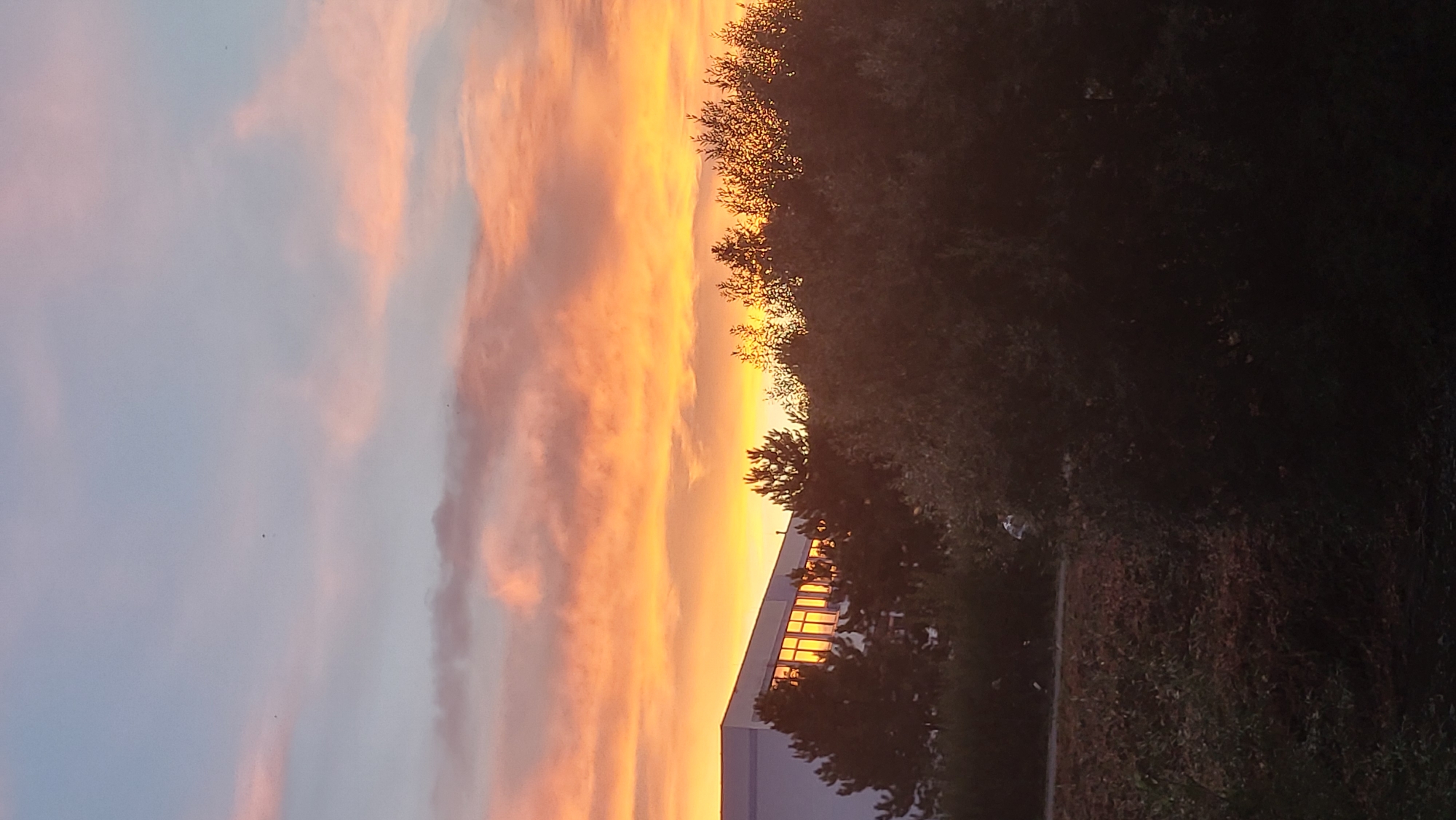 The image shows a sunset over a suburban area. In the foreground, there is dark foliage. In the middle ground, there is a row of trees and a building with large windows reflecting the sunset. The sky is filled with orange and pink clouds. There are no people or animals visible in the image. The location is not identifiable as Prešov, Slovakia, or any other specific city.