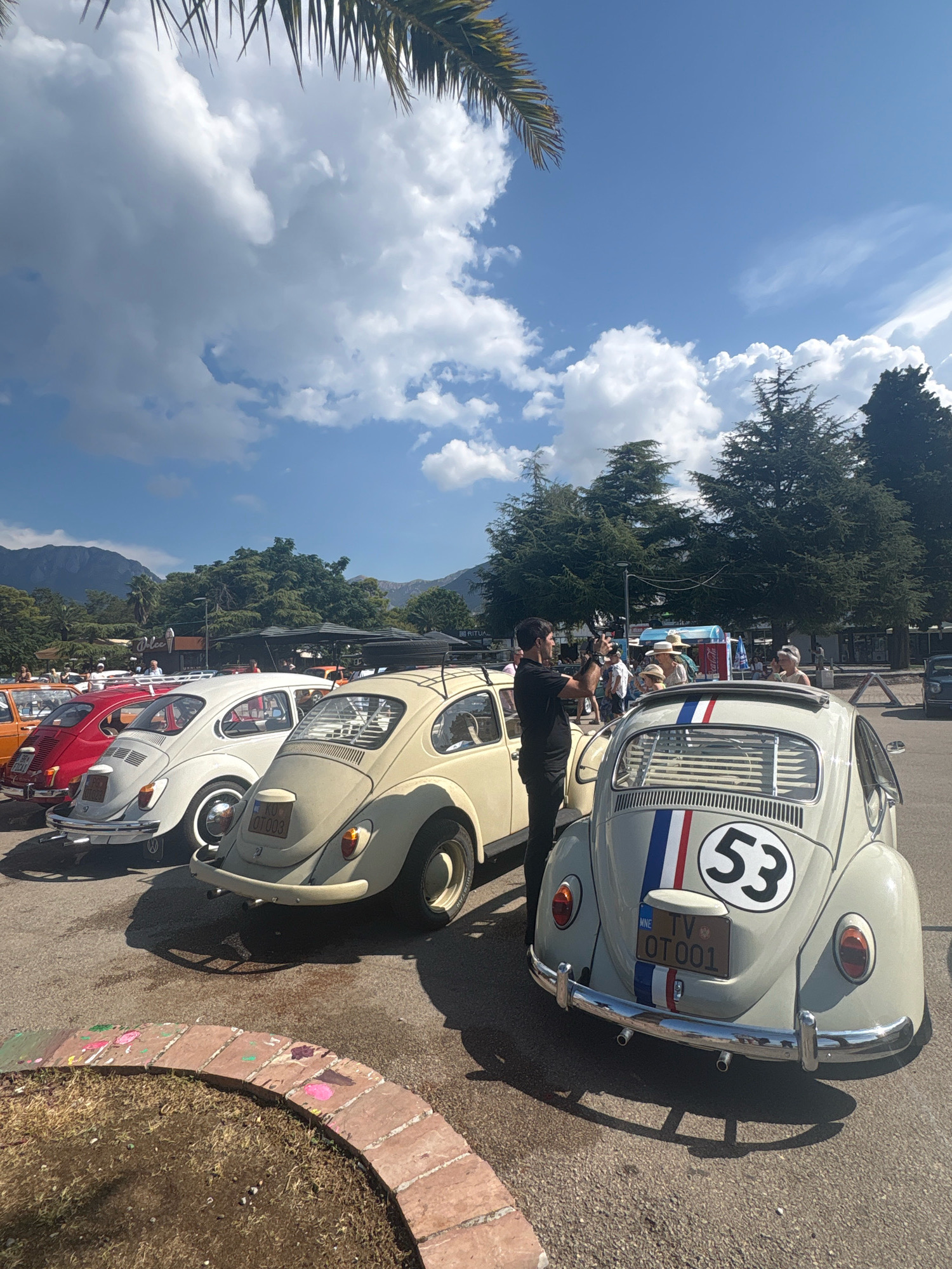 The image depicts a sunny outdoor event in Bar, Montenegro, featuring a gathering of classic Volkswagen Beetles. In the foreground, a light-colored Beetle with the number "53" emblazoned on its rear is prominently displayed. A man in a black shirt is seen taking a photo or video with his phone. Behind it, a row of similar vintage Beetles are parked, varying in color from cream to red. The background reveals lush green trees, mountains, and a clear blue sky with fluffy white clouds. The event appears to be a car show or enthusiast meet-up, possibly in a public square or parking area in Bar.