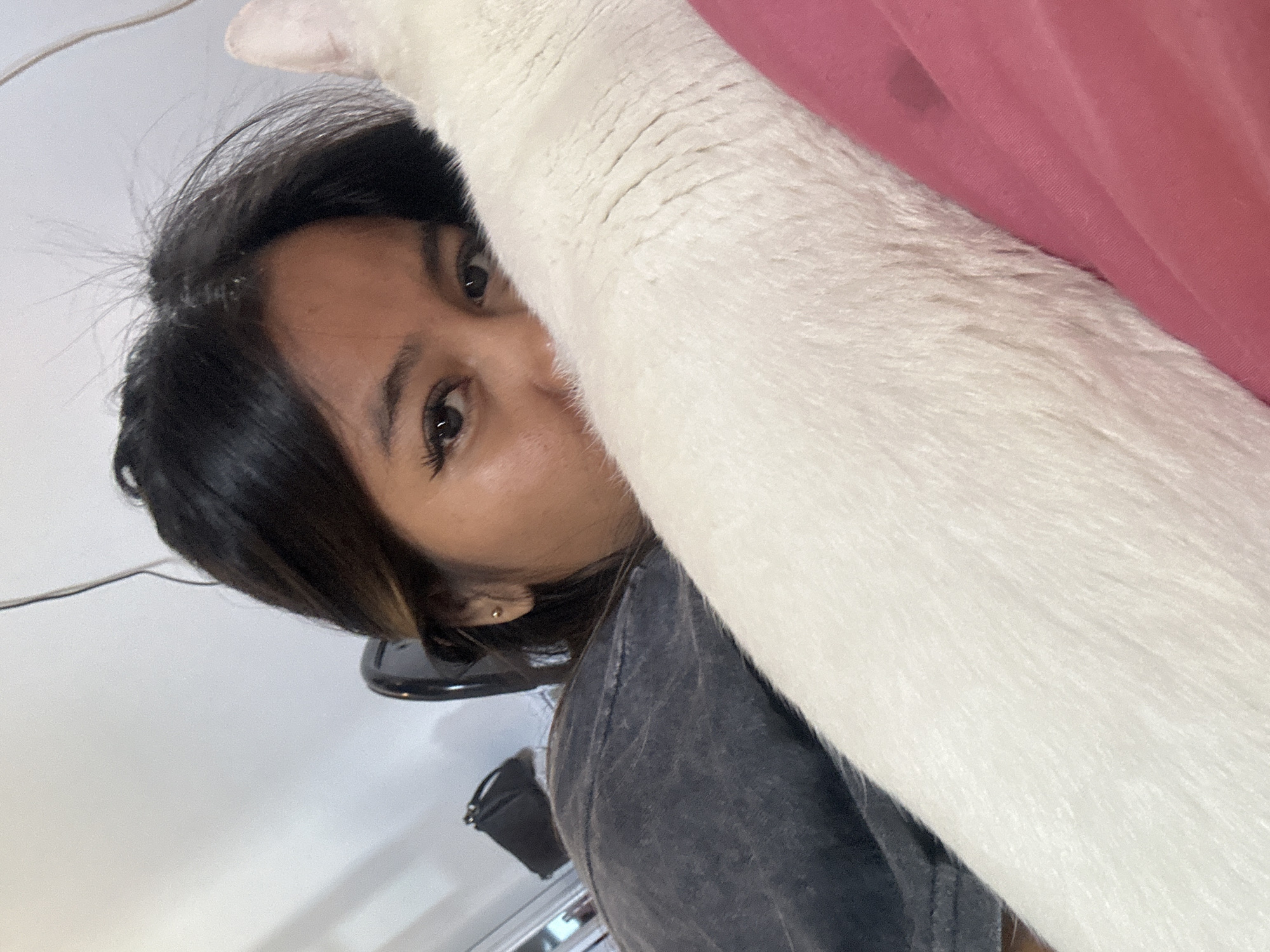 This is a close-up, selfie-style photograph taken indoors, likely in a bedroom, given the presence of bedding and the casual pose. The subject is a young woman with dark hair and brown eyes, wearing a dark grey t-shirt. She is partially obscured by a large white cat that is lying next to her. The cat's fur is long and fluffy. The background consists of a white wall and a hint of a black chair or headrest. A pink sheet or blanket is visible in the lower right portion of the image. The lighting appears to be natural, coming from an unseen source to the left. The image captures a moment of intimacy and comfort between the woman and her pet. The location is identified as Denpasar, Indonesia.