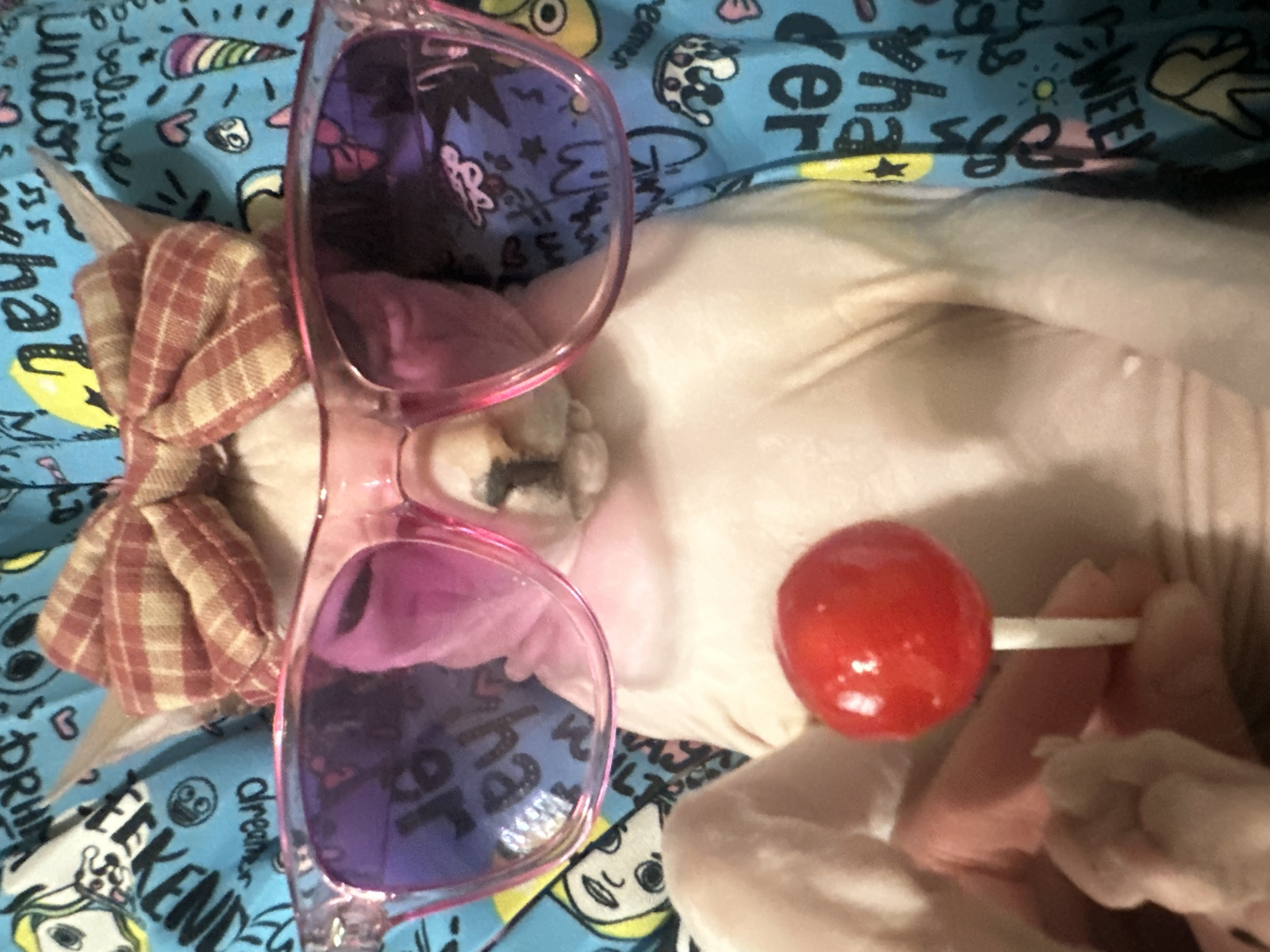 A light-skinned Sphynx cat, adorned with a plaid bow and pink sunglasses, lies on a colorful, patterned surface. The cat is positioned centrally, with its paws gently holding a red lollipop on a white stick. The background features a blue fabric with various cartoonish designs and text. The scene appears to be an indoor setting, possibly a home environment. There are no visible geographical markers to indicate the city of Togliatti, Russia.