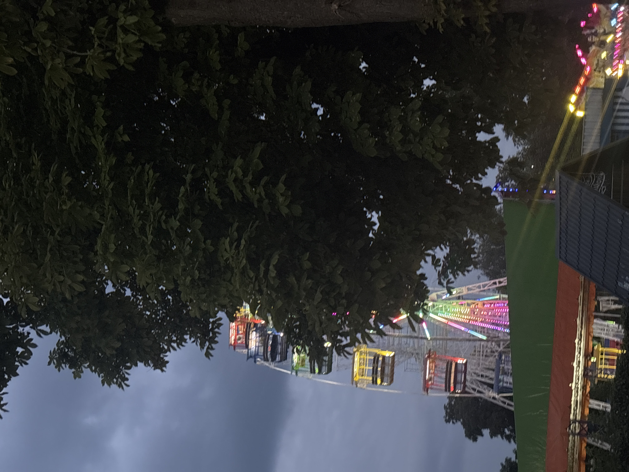 The image shows a ferris wheel at an amusement park at dusk. The ferris wheel is lit with colorful lights, and there are several gondolas visible. A large tree with dark green leaves partially obscures the ferris wheel. In the foreground, there are structures that appear to be part of the amusement park, with some lights visible. The sky is cloudy and dark. The scene is likely in Bila Tserkva, Ukraine, as indicated by the context. There are no people clearly visible in the image.