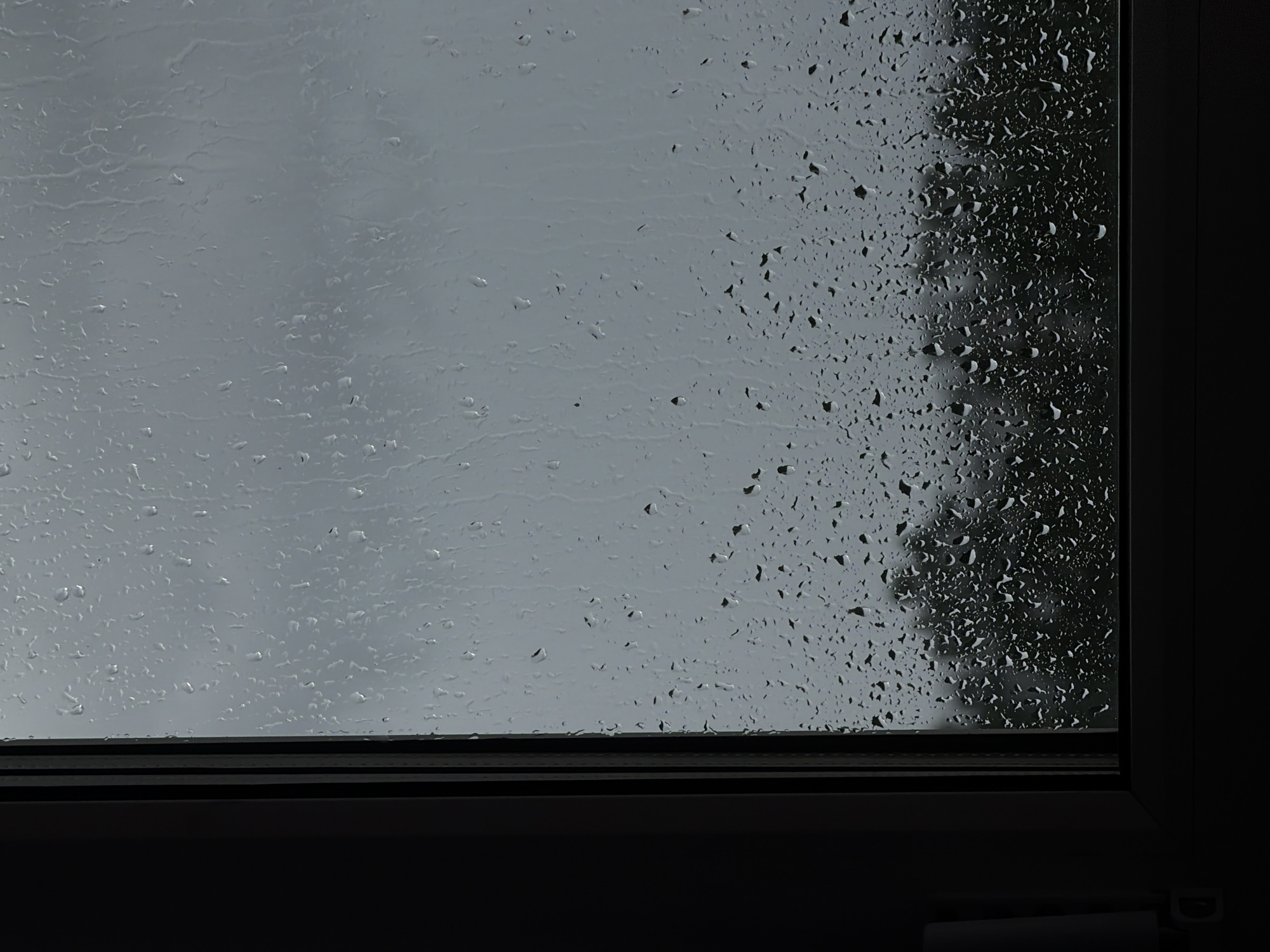 The image shows a close-up view of a windowpane covered in raindrops. The background is a blurry depiction of dark green foliage, suggesting trees or bushes outside. The sky appears overcast and gray. The window frame is visible on the left side of the image, appearing dark and possibly made of metal or PVC. There are no people or discernible actions taking place in the image. The scene is static and evokes a sense of a rainy day. The location is not identifiable from the visual information provided.