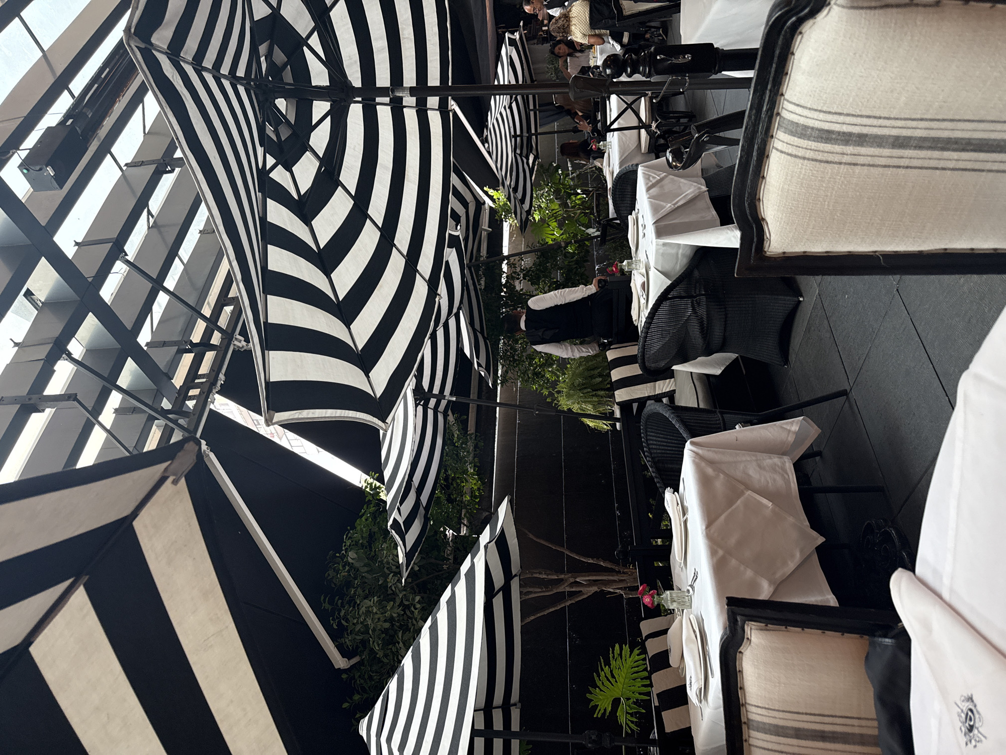 This image depicts a stylish outdoor or semi-outdoor restaurant dining area, dominated by a striking black and white color scheme. Numerous large, black and white striped umbrellas provide shade and a strong visual pattern, extending across the upper portion of the scene. Above the umbrellas, a glass ceiling structure with visible metal supports allows natural light to filter in, while a black rectangular device, possibly a speaker or camera, is mounted on the frame.
The dining area features multiple tables, each covered with crisp white tablecloths and set with white dinnerware, cutlery, and glassware. Small vases with red flowers, likely roses, adorn some of the tables, adding a subtle pop of color. Seating includes dark wicker-style chairs and upholstered chairs with black frames and striped fabric cushions, some of which are light with dark stripes. One upholstered chair in the foreground shows a small, embroidered logo resembling a stylized 'P' or similar emblem.
Several people are present, engaged in dining or service. A server, dressed in a white shirt and black vest, is visible standing near a table in the mid-ground. Other patrons are seated at various tables further back, suggesting a busy but relaxed atmosphere. Green foliage and plants are strategically placed throughout the dining space, adding a natural and refreshing element.
The scene takes place during the daytime, with bright, diffused light indicating good weather. The overall impression is one of an upscale and elegant dining experience, designed for comfort and style. No explicit location cues are visible within the image itself.