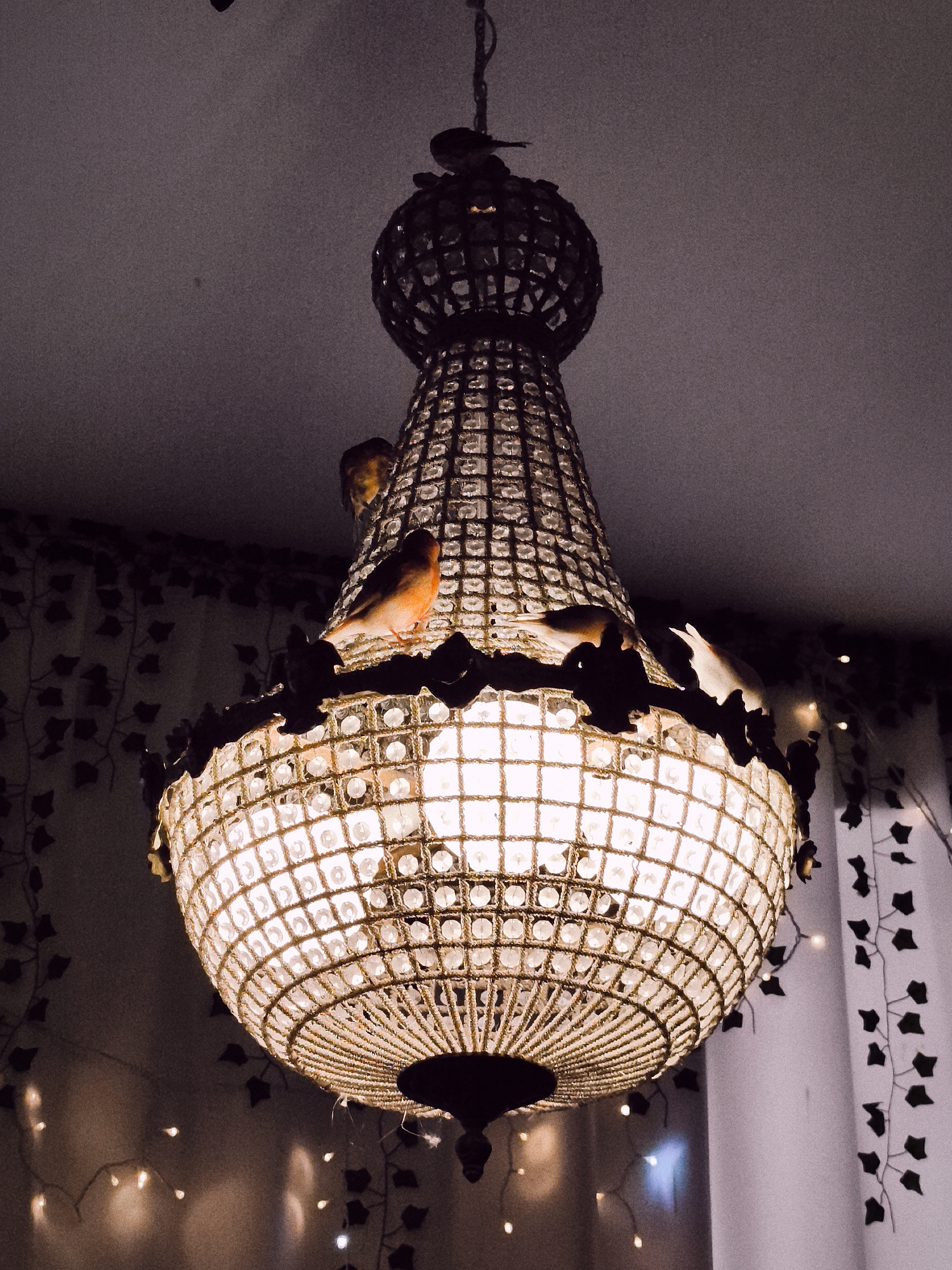 A crystal chandelier hangs from a ceiling in an indoor setting. The chandelier is illuminated by a central bulb and is decorated with numerous clear crystals. Several small birds are perched on the chandelier, with at least three visible. One bird is bright orange and is positioned on the lower part of the chandelier, facing left. Another bird, also orange, is visible higher up on the chandelier, facing left. A third bird, lighter in color, is perched on the uppermost section of the chandelier. The background includes a dark ceiling, a wall with a dark vine-like pattern, and a curtain. String lights are visible in the lower portion of the image, casting a warm glow. There is no indication of the city of Gdańsk, Poland, or any specific location in the image.